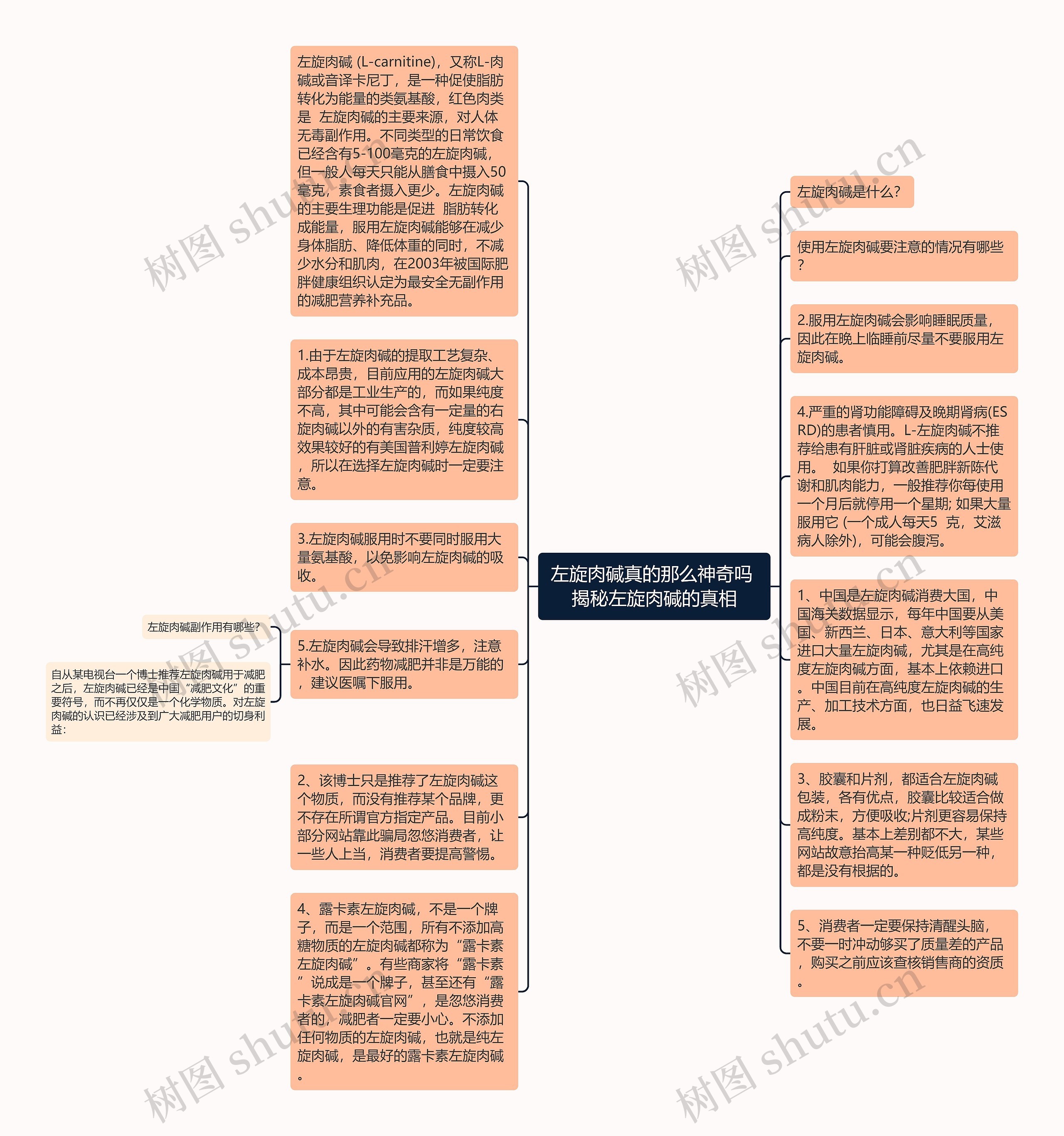 左旋肉碱真的那么神奇吗 揭秘左旋肉碱的真相思维导图