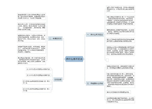 养什么鹰不犯法