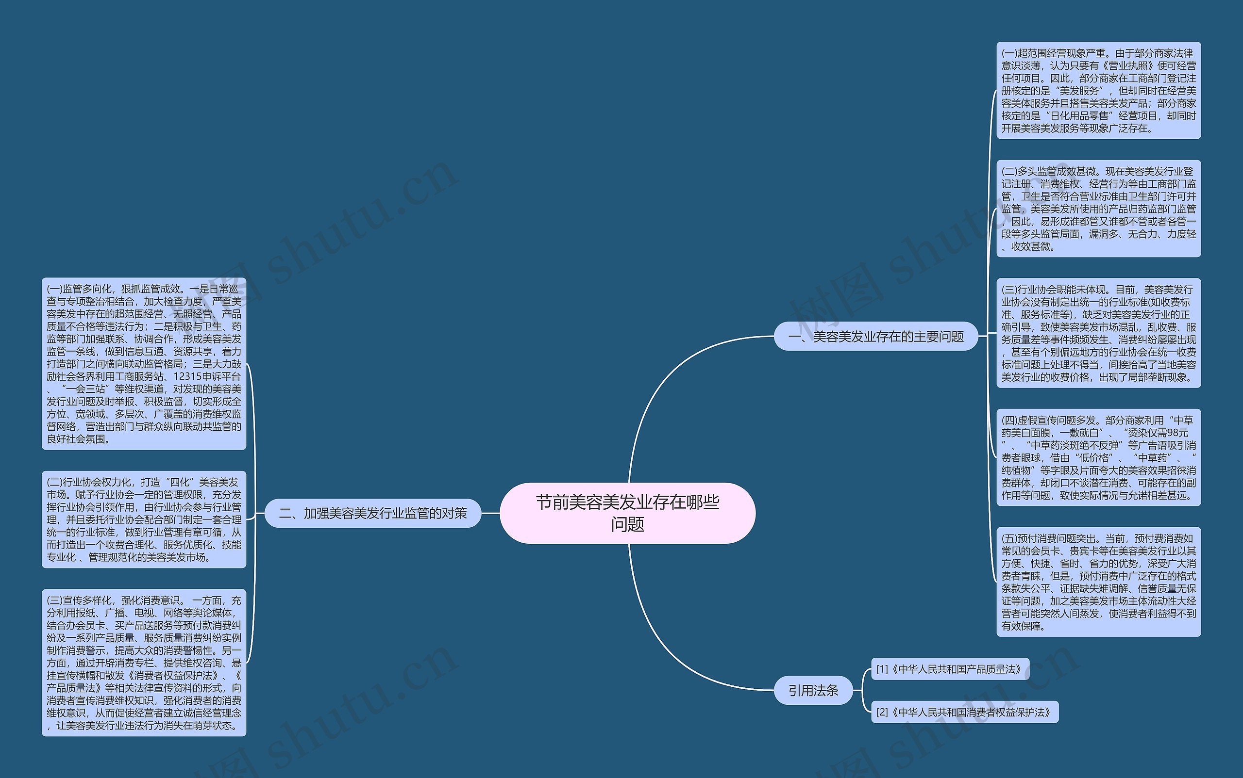 节前美容美发业存在哪些问题思维导图