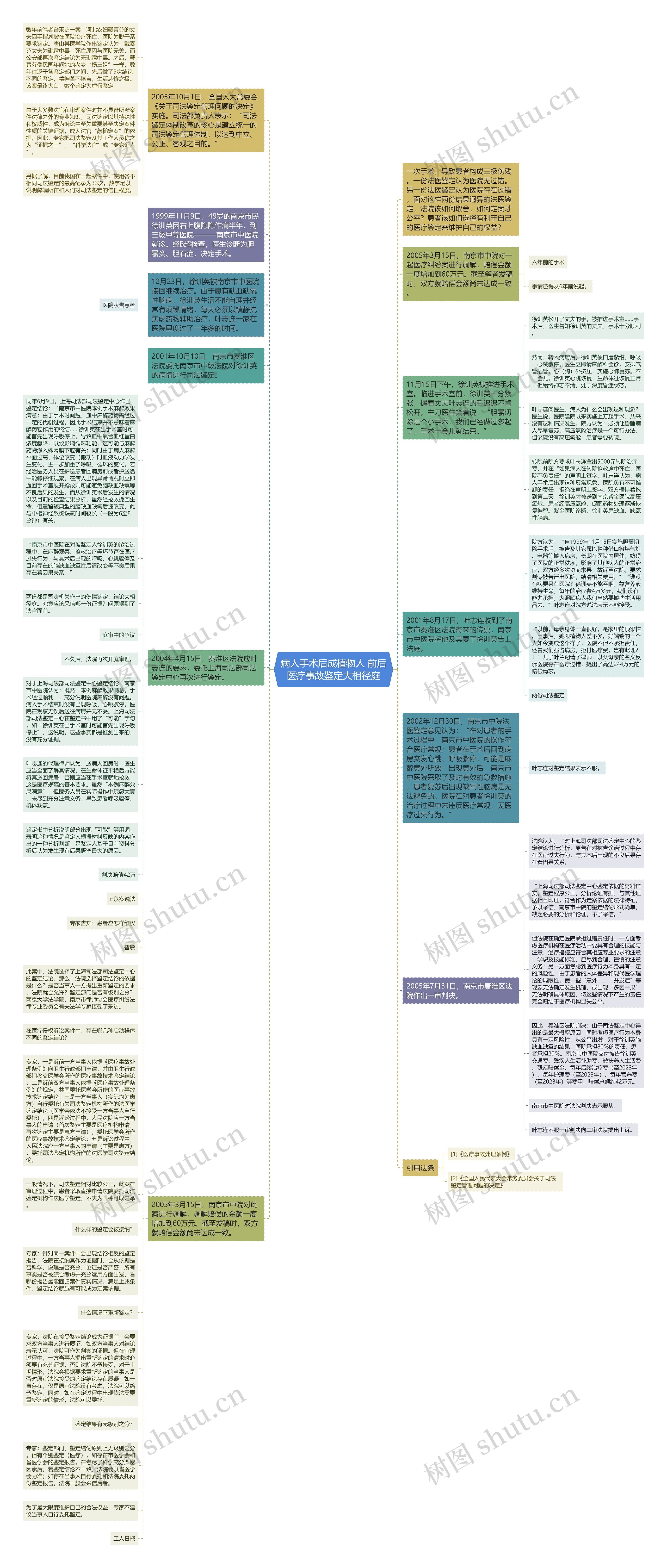 病人手术后成植物人 前后医疗事故鉴定大相径庭思维导图