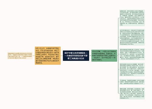 泥泞中挺立的英雄集体——舟曲县环保局各族干部职工抢险救灾纪实