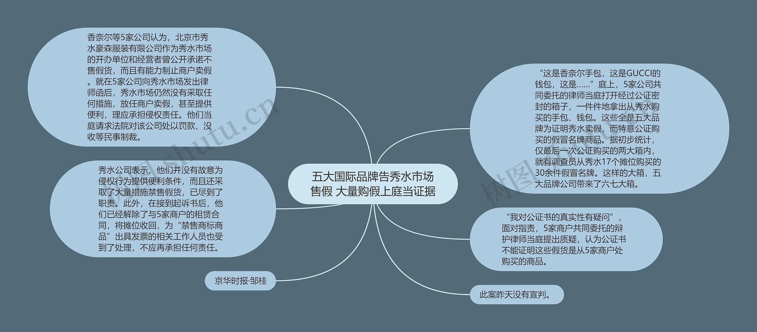 五大国际品牌告秀水市场售假 大量购假上庭当证据思维导图