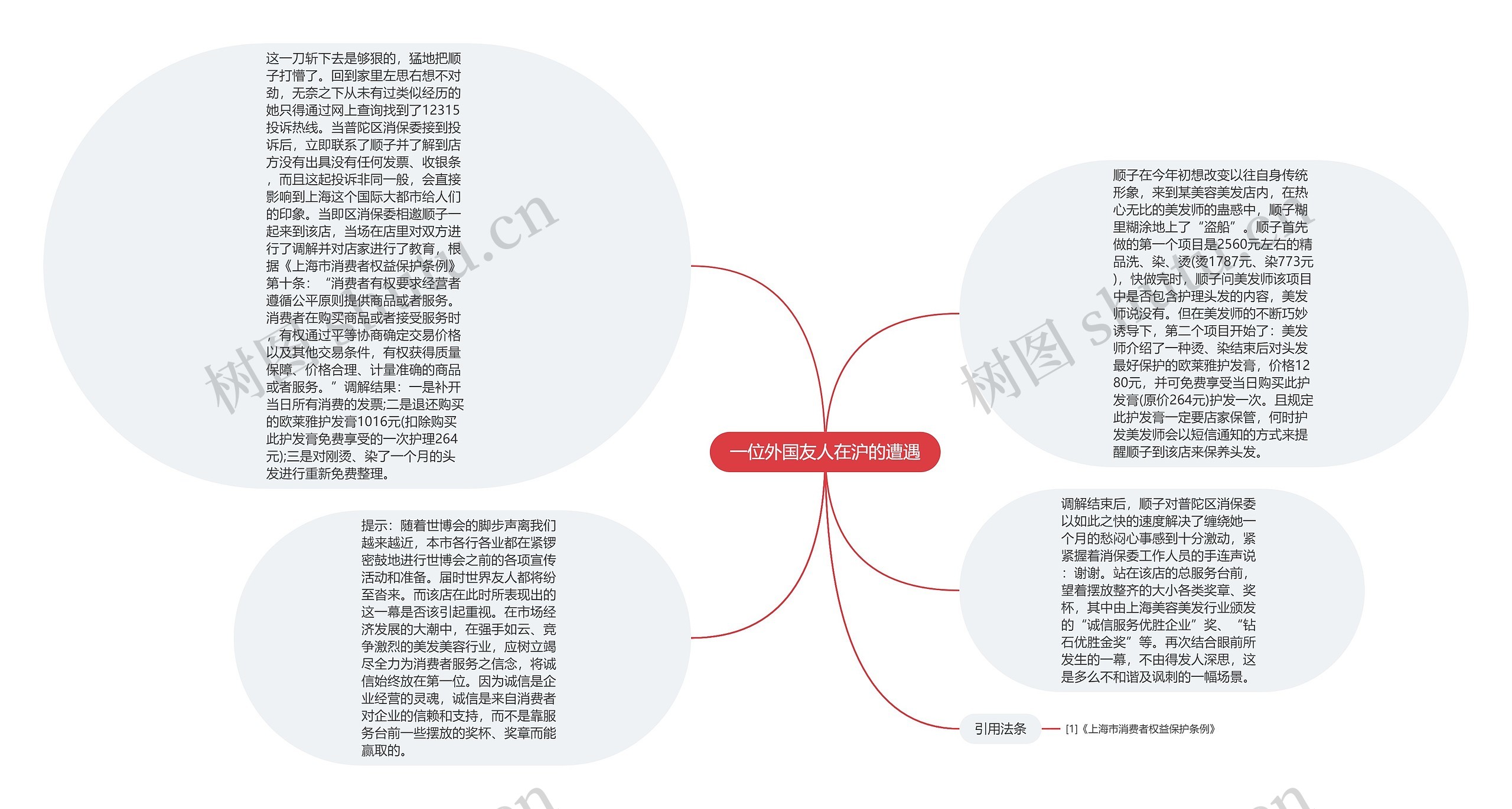 一位外国友人在沪的遭遇思维导图