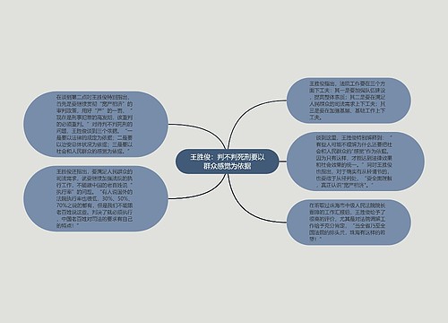 王胜俊：判不判死刑要以群众感觉为依据