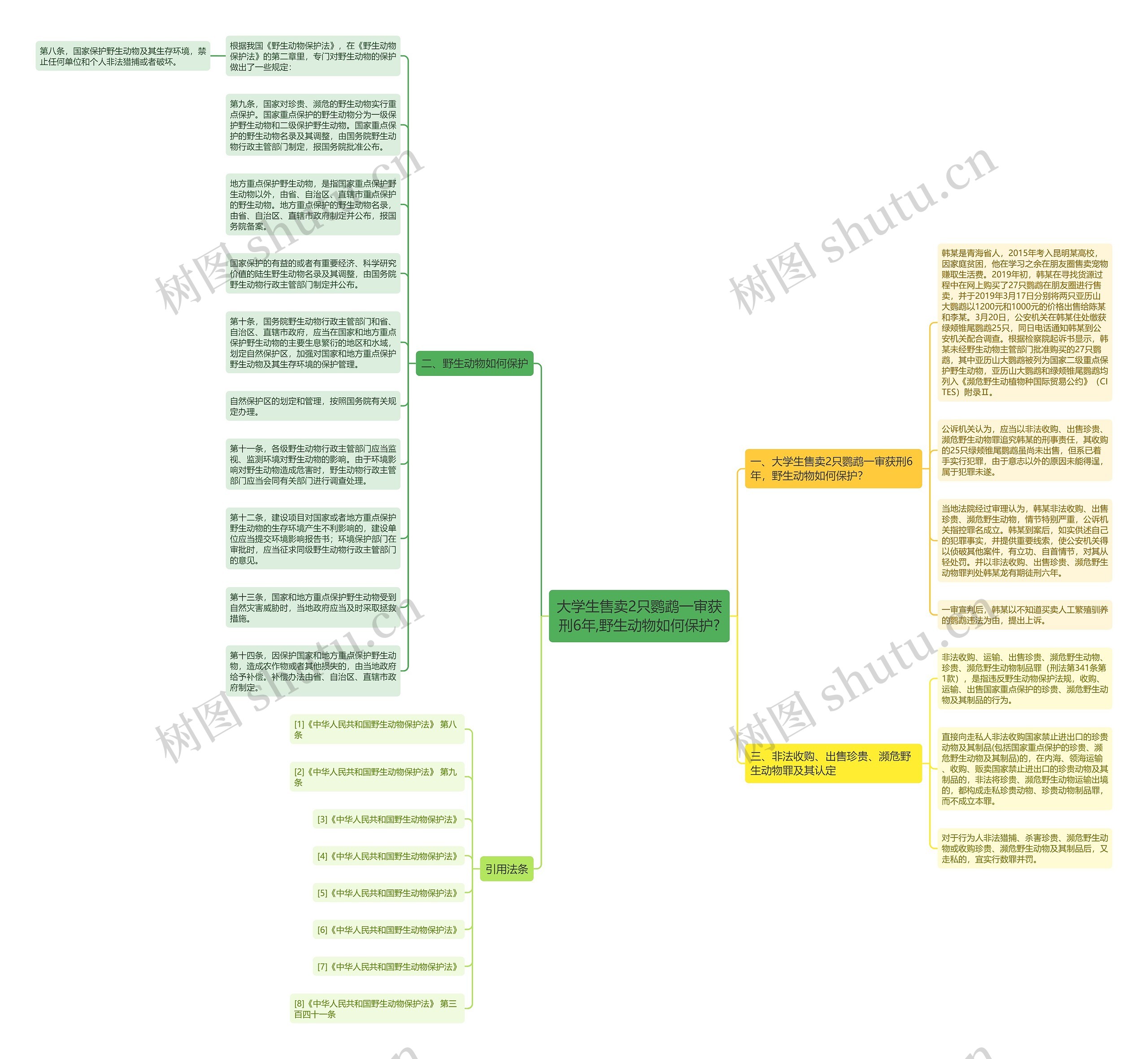 大学生售卖2只鹦鹉一审获刑6年,野生动物如何保护?思维导图