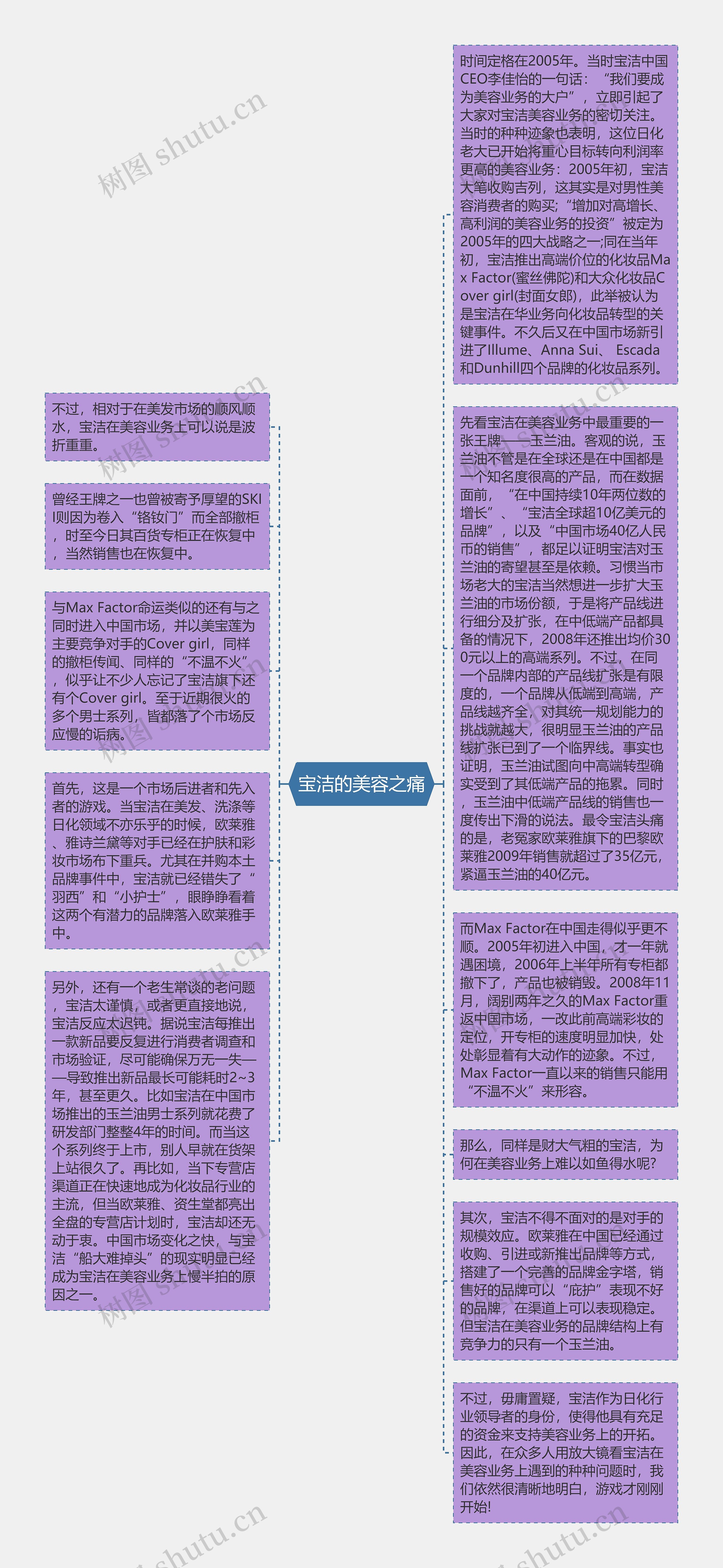 宝洁的美容之痛