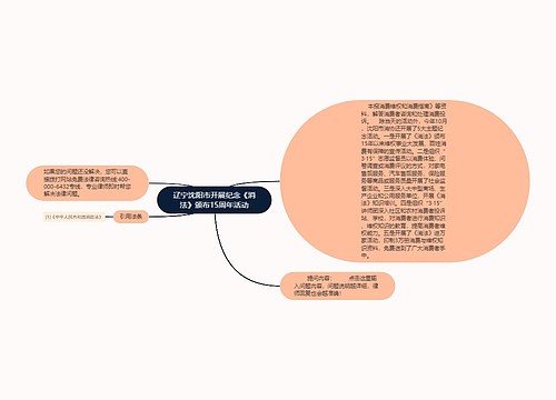 辽宁沈阳市开展纪念《消法》颁布15周年活动