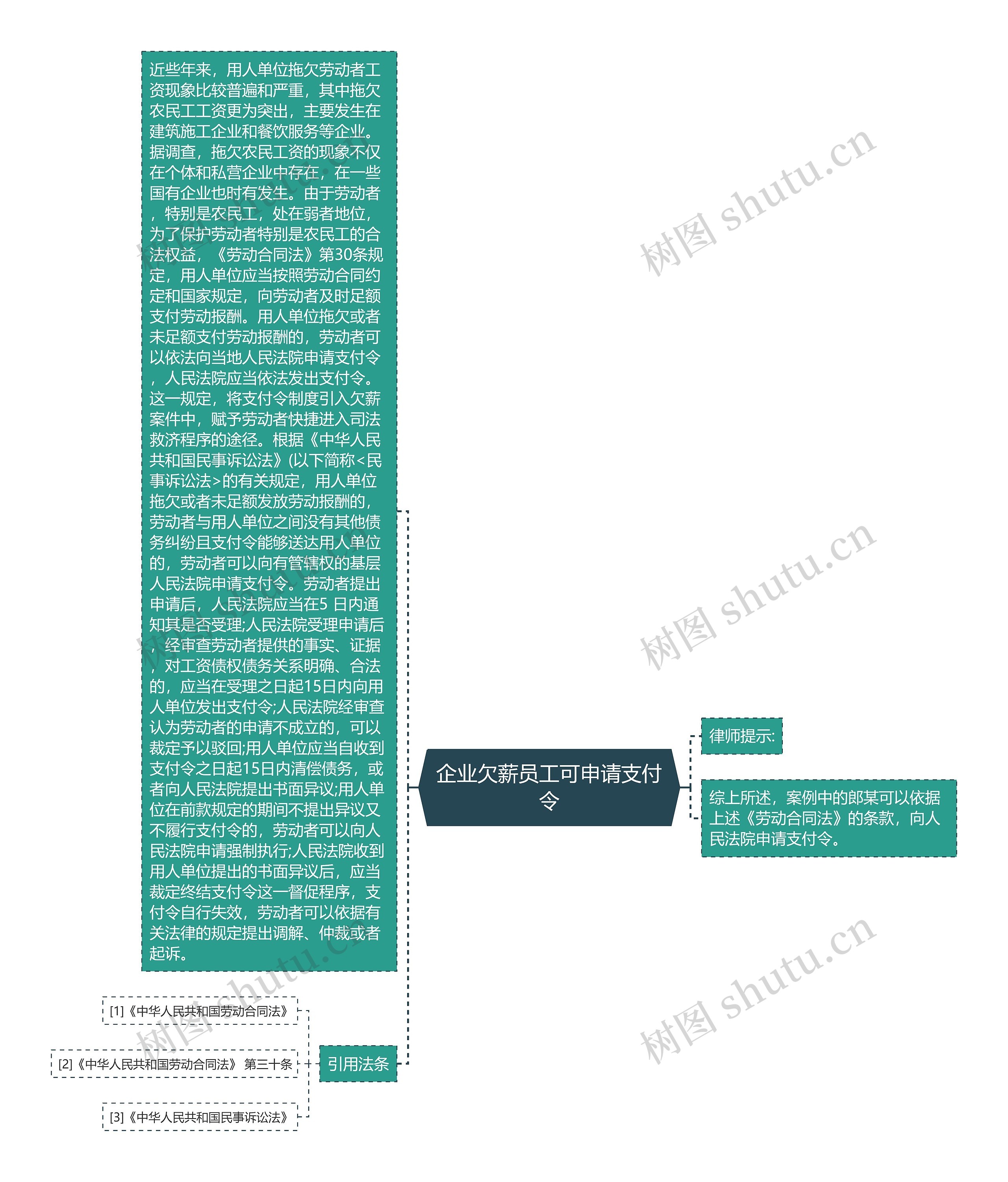 企业欠薪员工可申请支付令思维导图