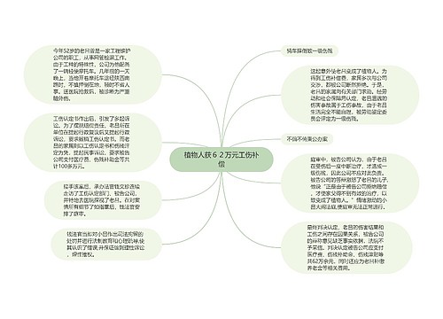 植物人获６２万元工伤补偿