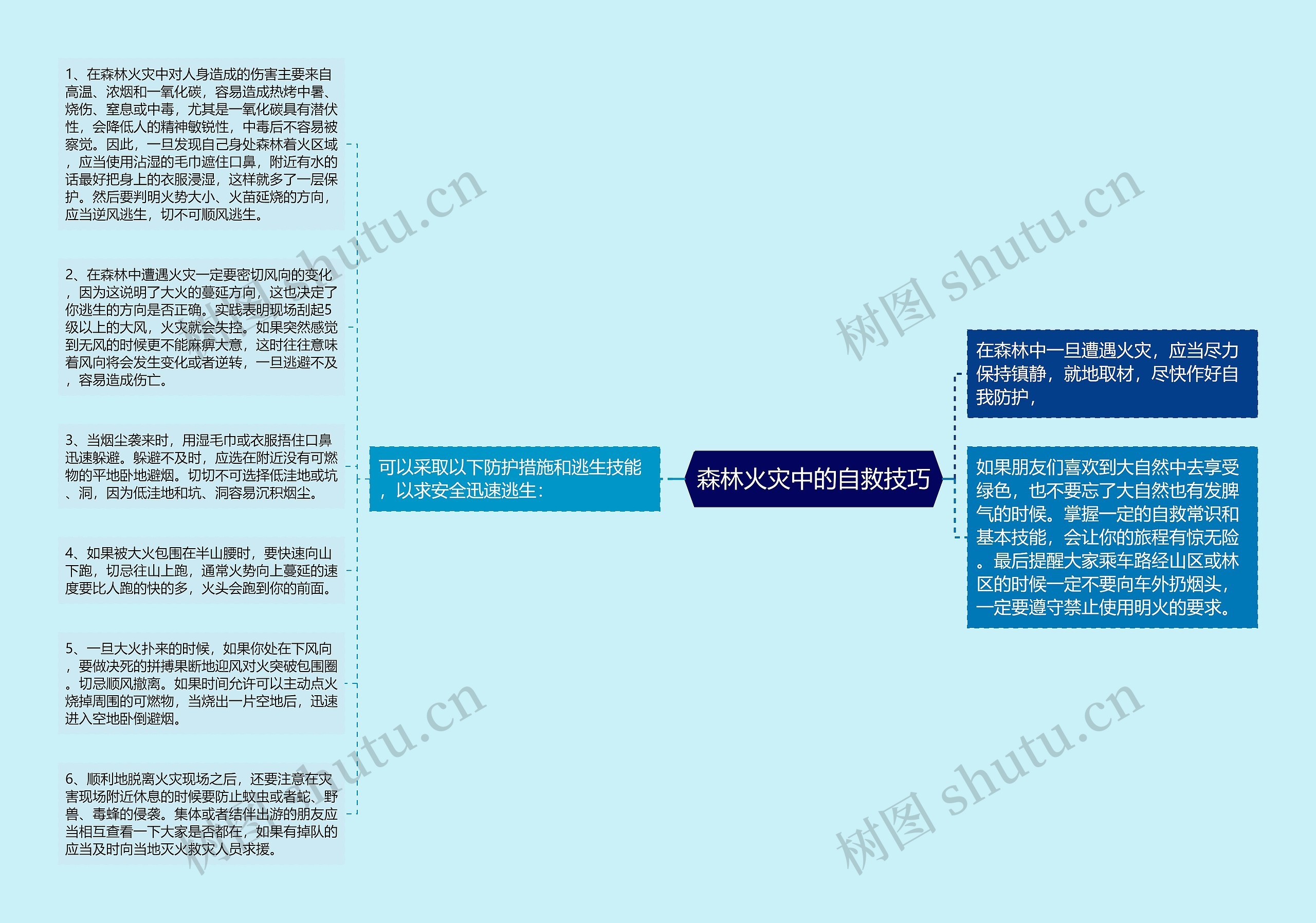 森林火灾中的自救技巧