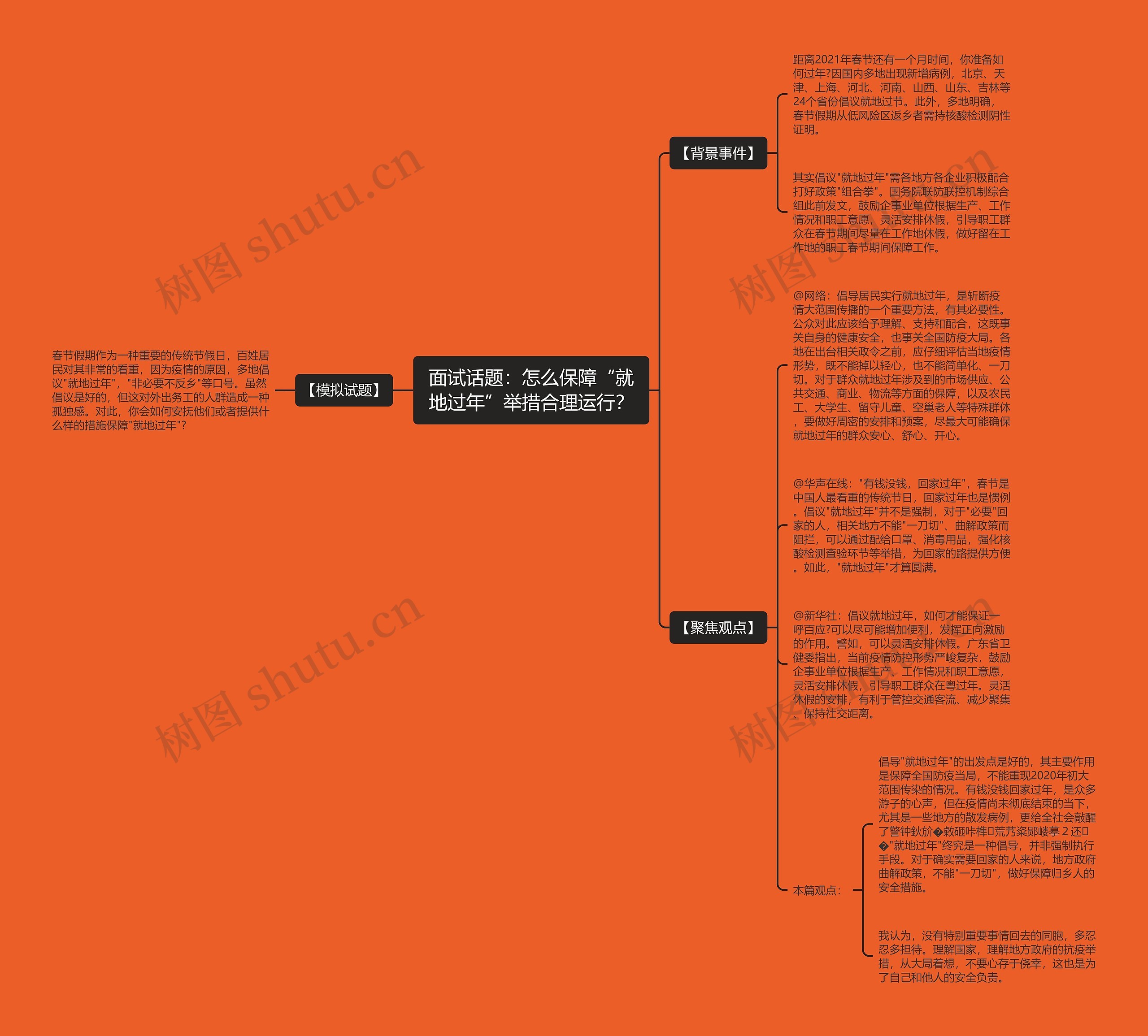 面试话题：怎么保障“就地过年”举措合理运行？思维导图