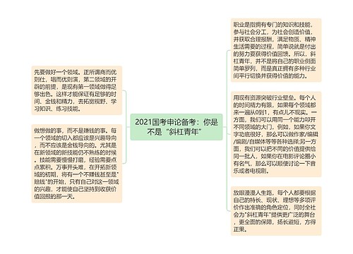 2021国考申论备考：你是不是“斜杠青年”