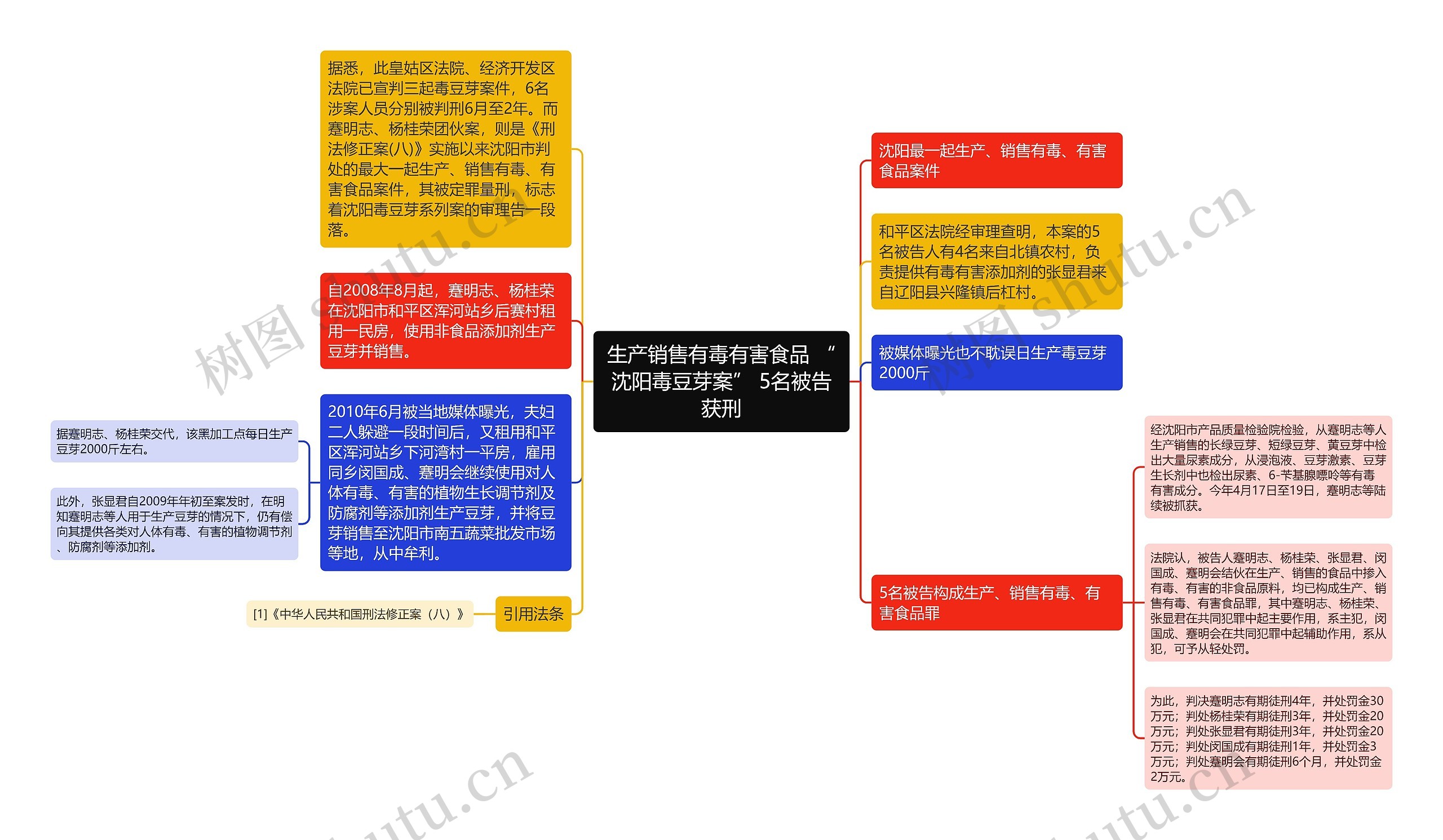 生产销售有毒有害食品 “沈阳毒豆芽案” 5名被告获刑思维导图