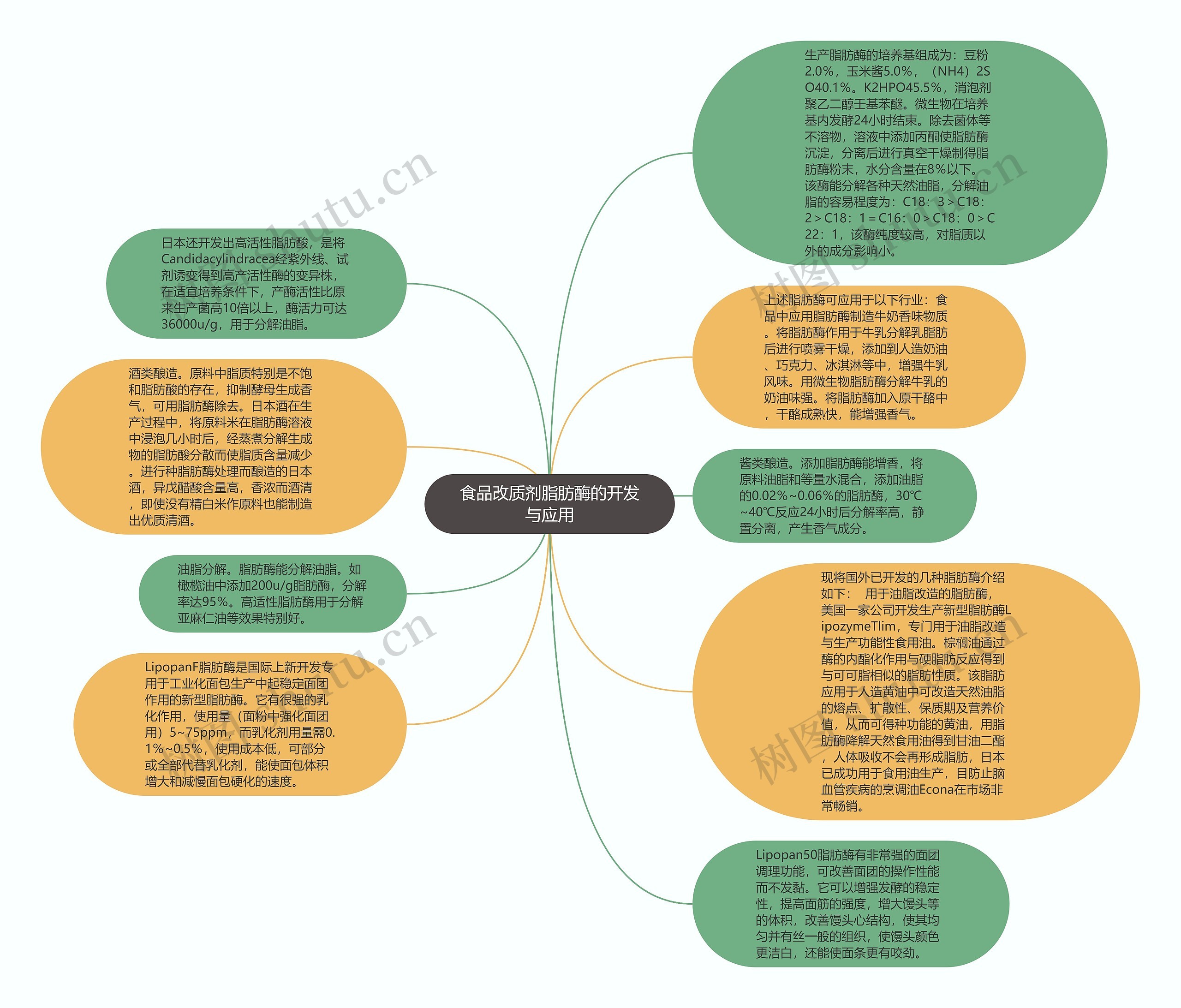 食品改质剂脂肪酶的开发与应用思维导图