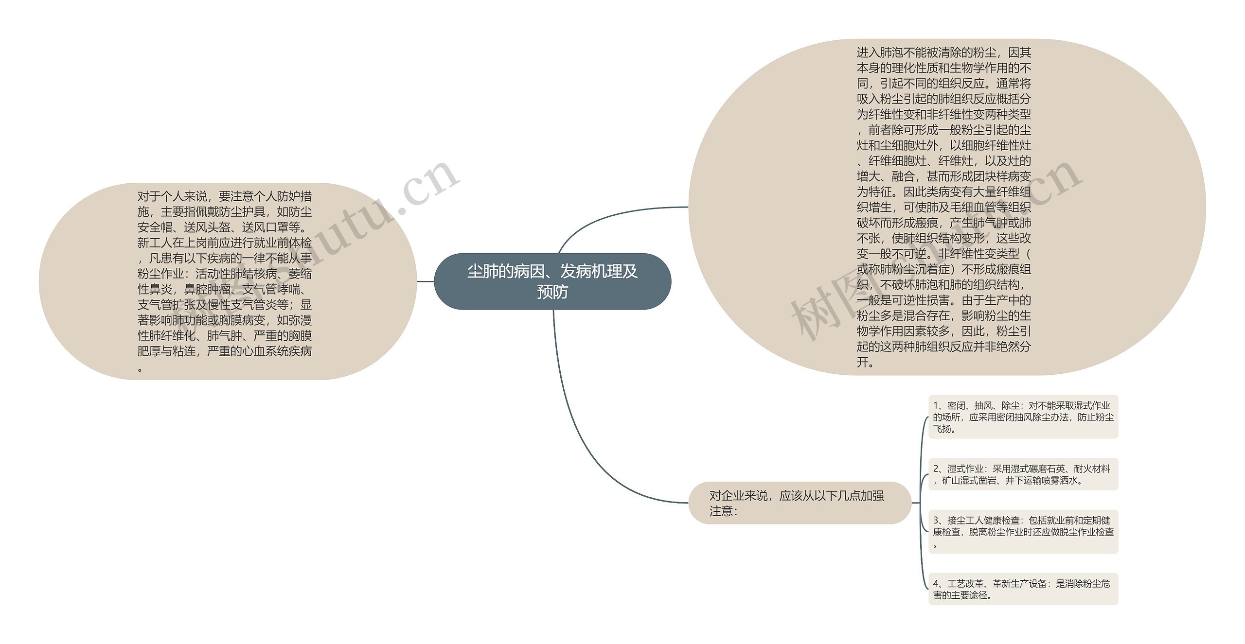 尘肺的病因、发病机理及预防思维导图