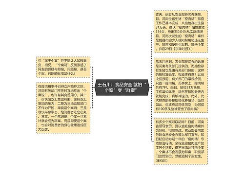 王石川：食品安全 就怕“个案”变“群案”