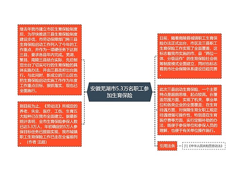 安徽芜湖市5.3万名职工参加生育保险