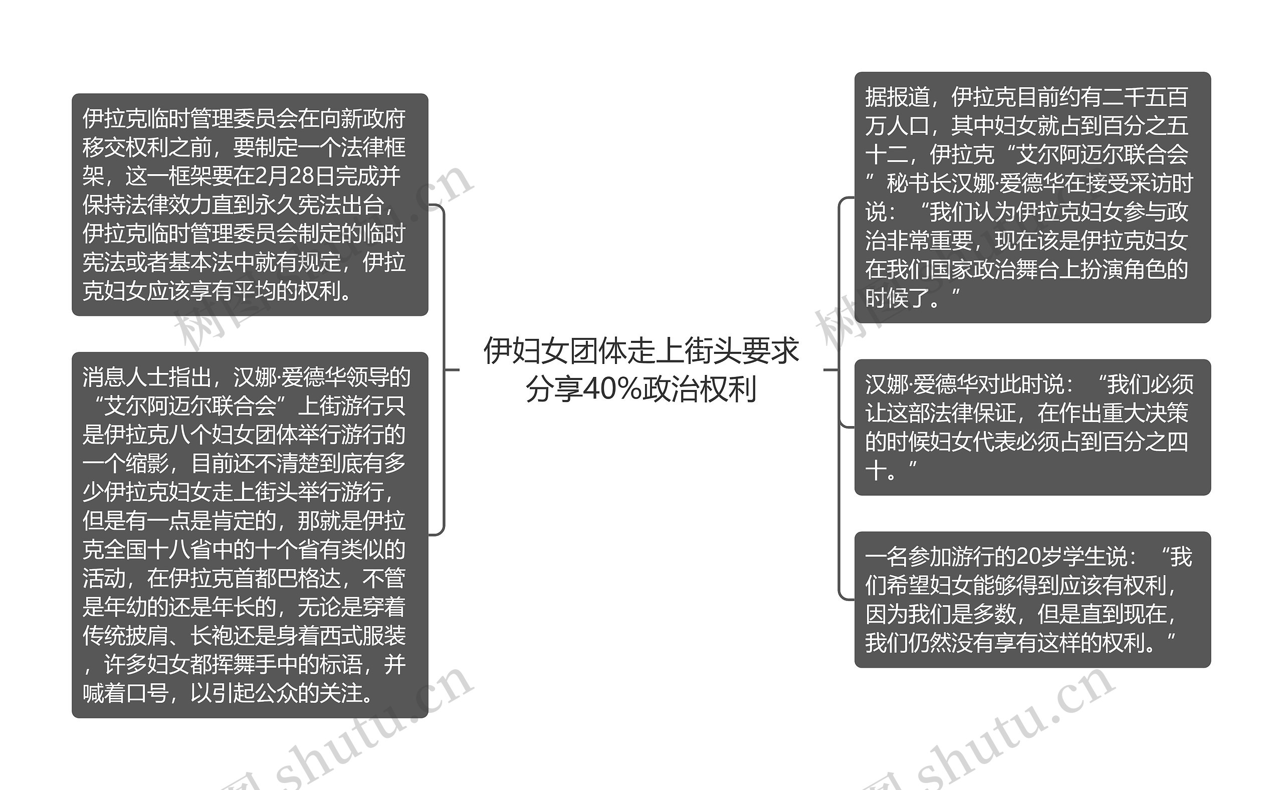 伊妇女团体走上街头要求分享40%政治权利