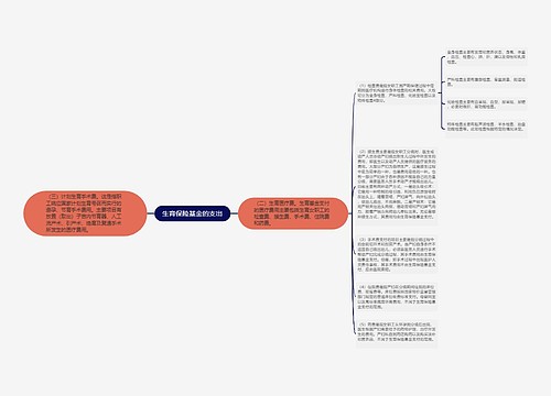 生育保险基金的支出