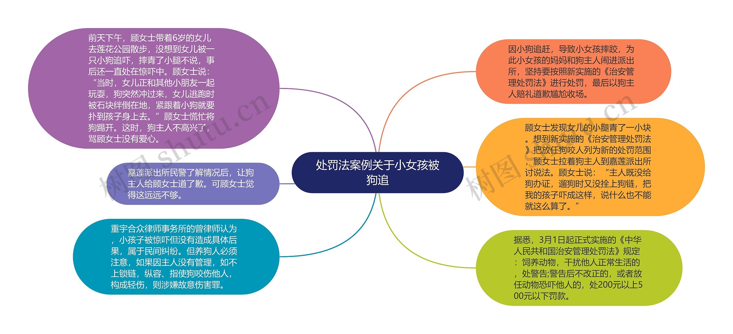 处罚法案例关于小女孩被狗追