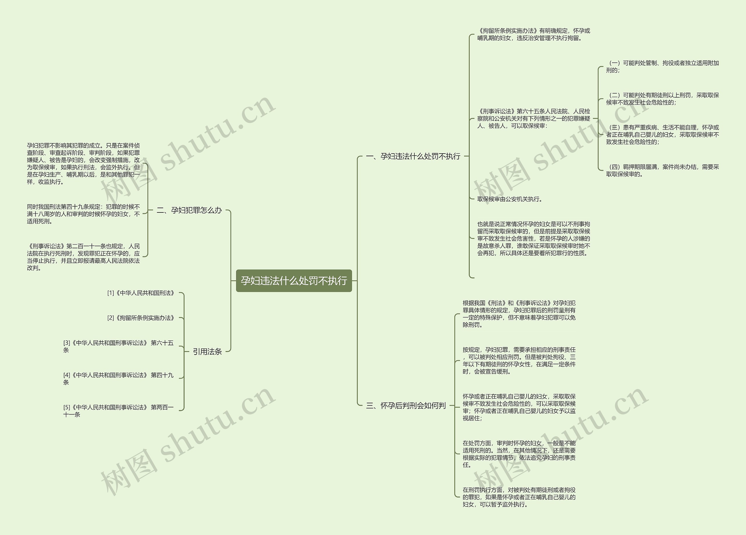孕妇违法什么处罚不执行思维导图