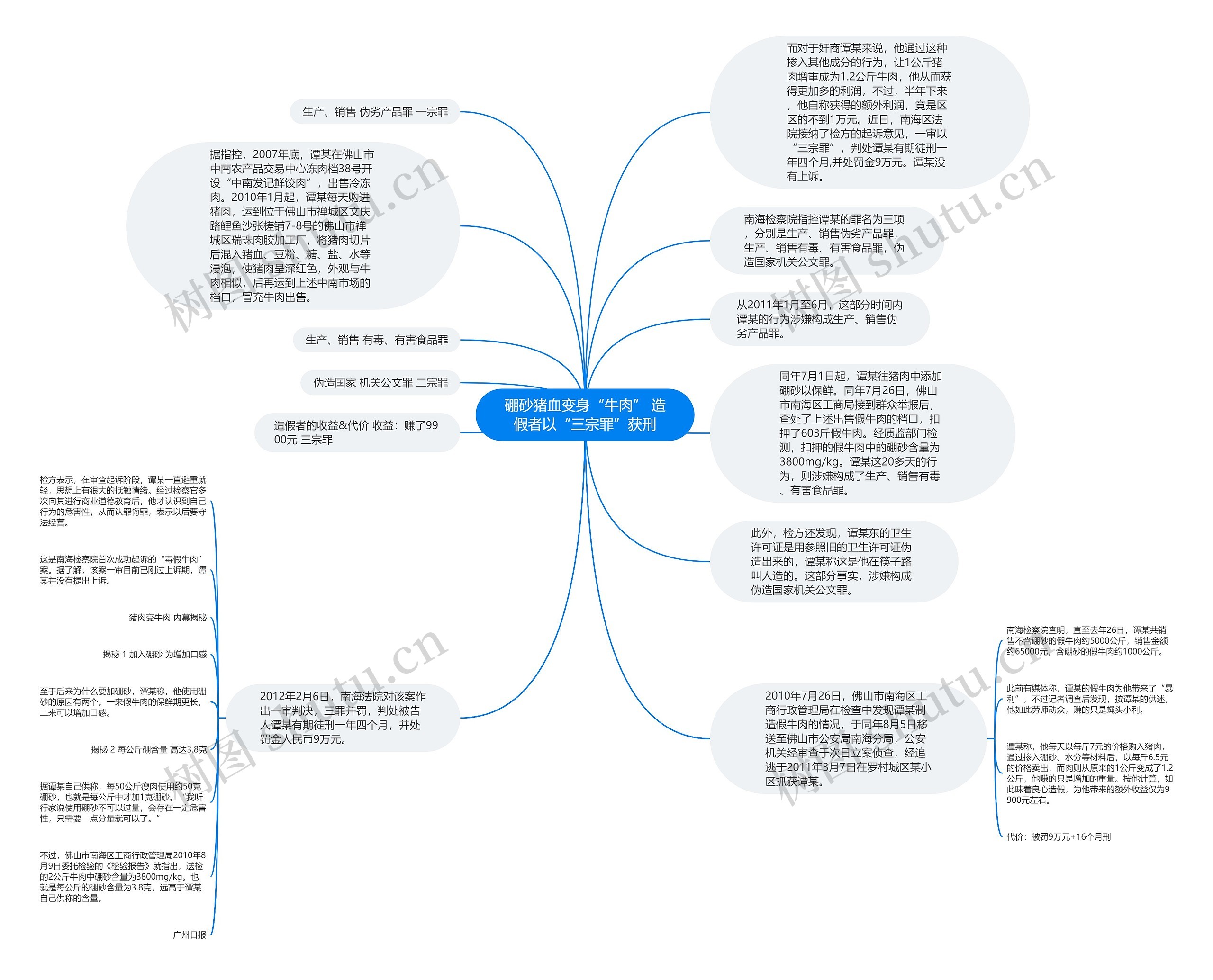 硼砂猪血变身“牛肉” 造假者以“三宗罪”获刑思维导图