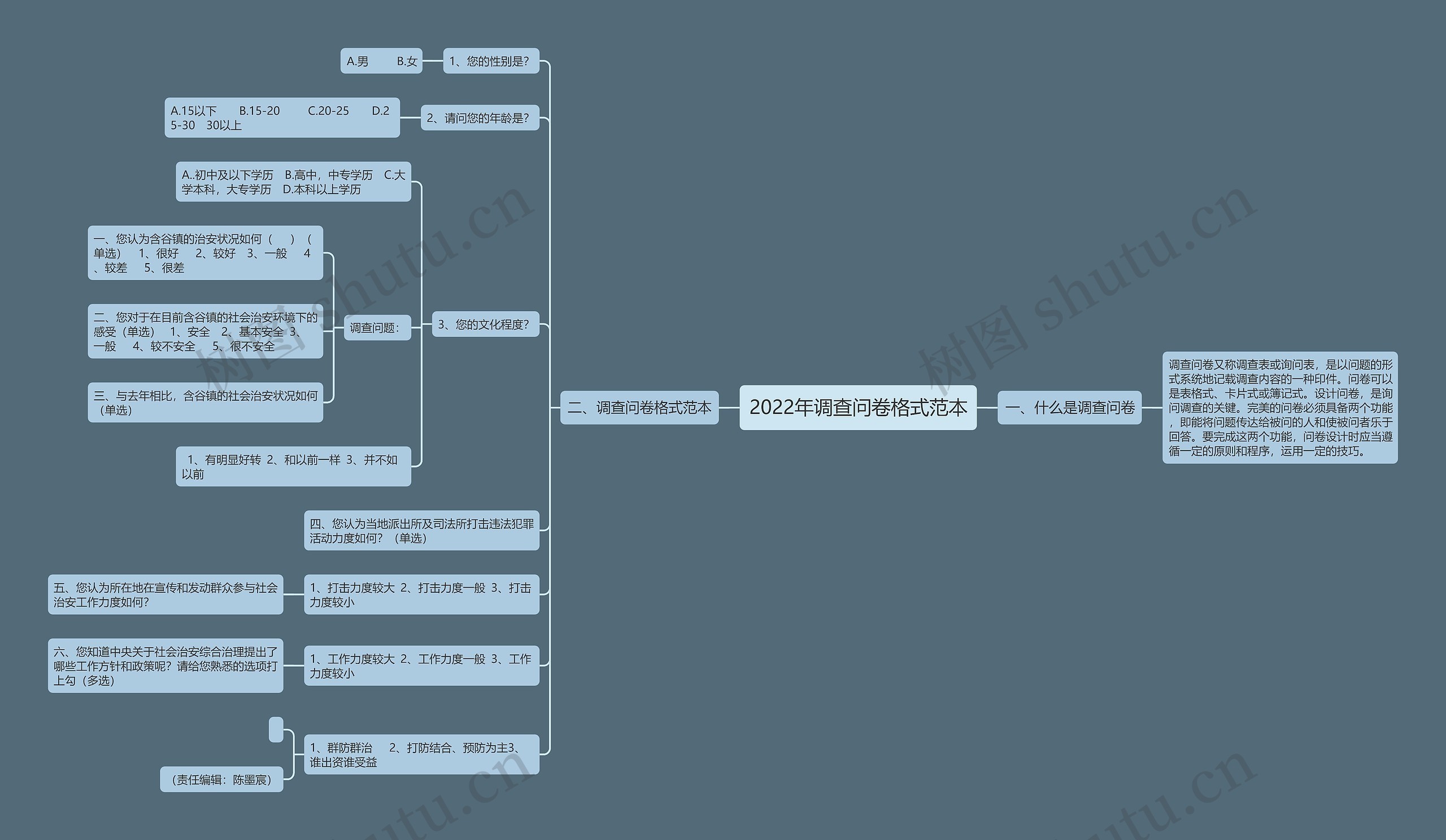 2022年调查问卷格式范本