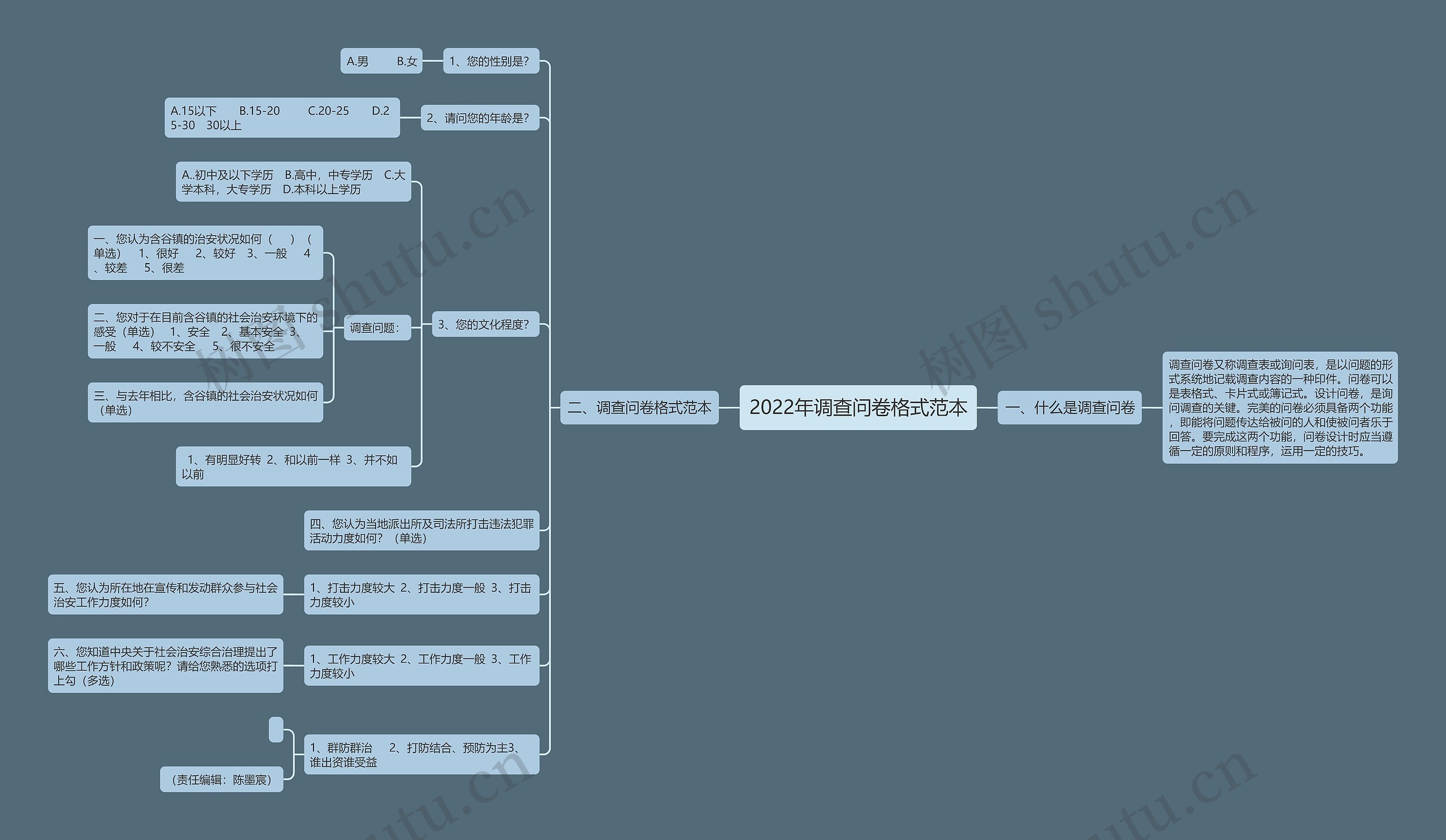 2022年调查问卷格式范本思维导图