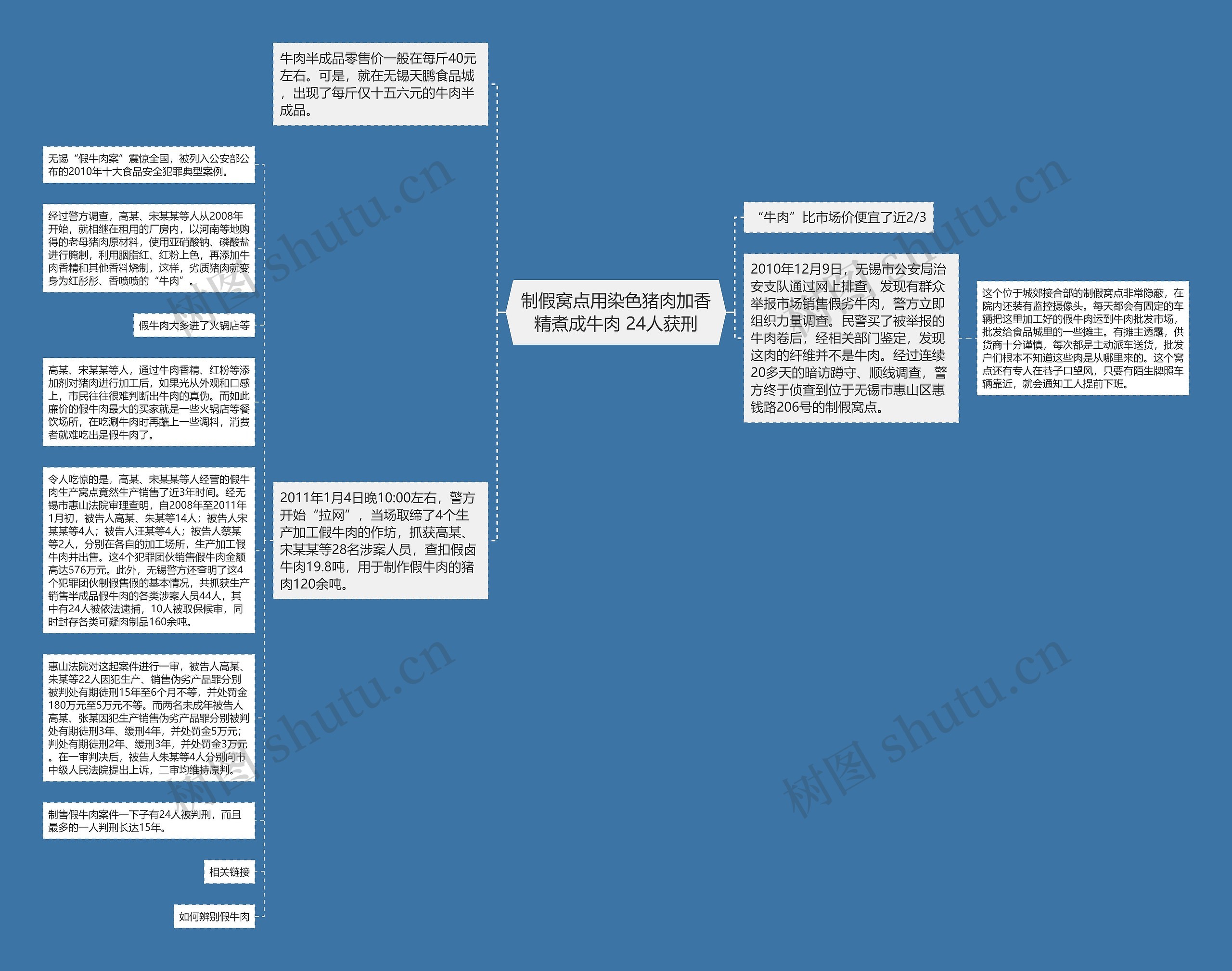 制假窝点用染色猪肉加香精煮成牛肉 24人获刑思维导图