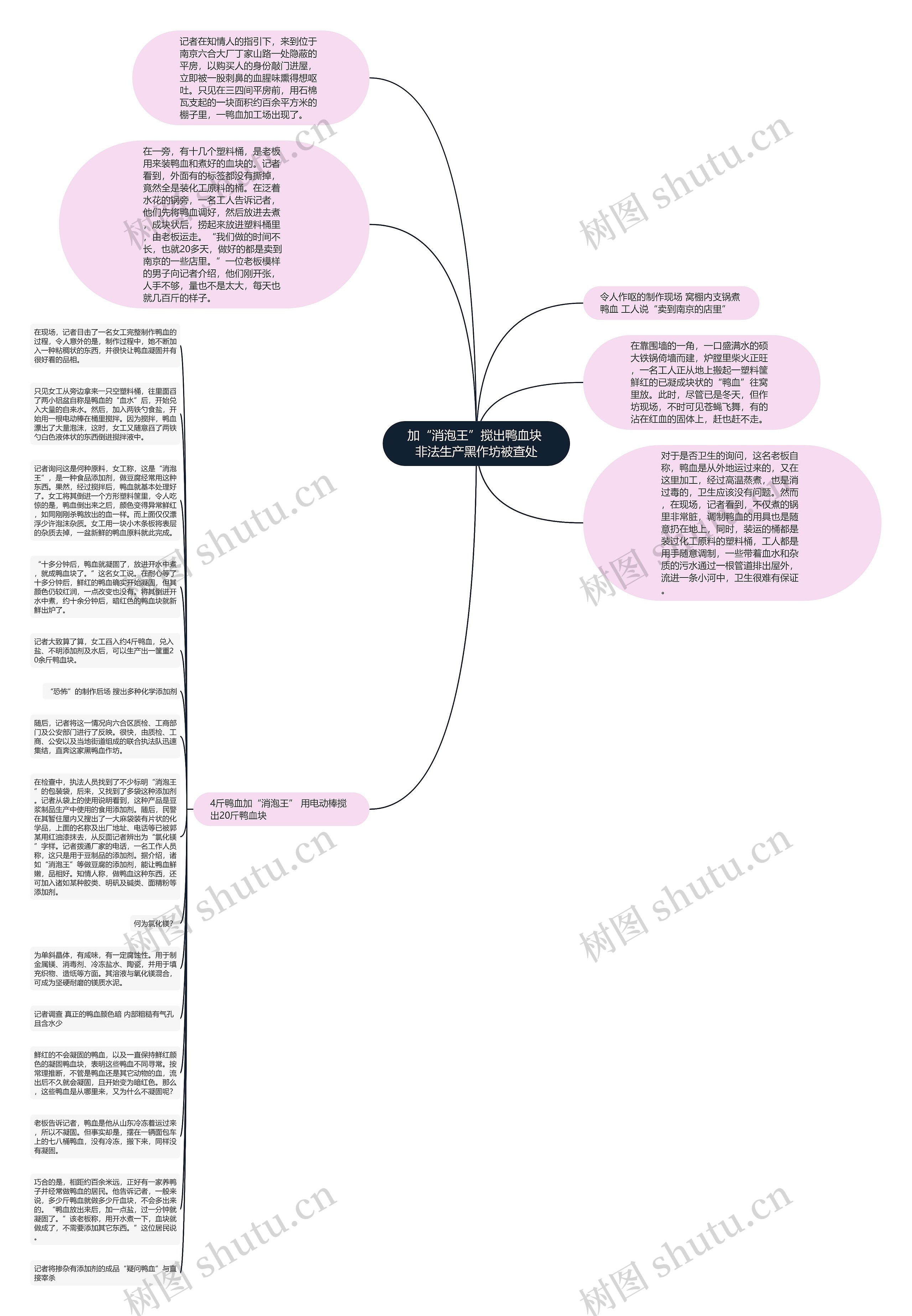 加“消泡王”搅出鸭血块 非法生产黑作坊被查处思维导图