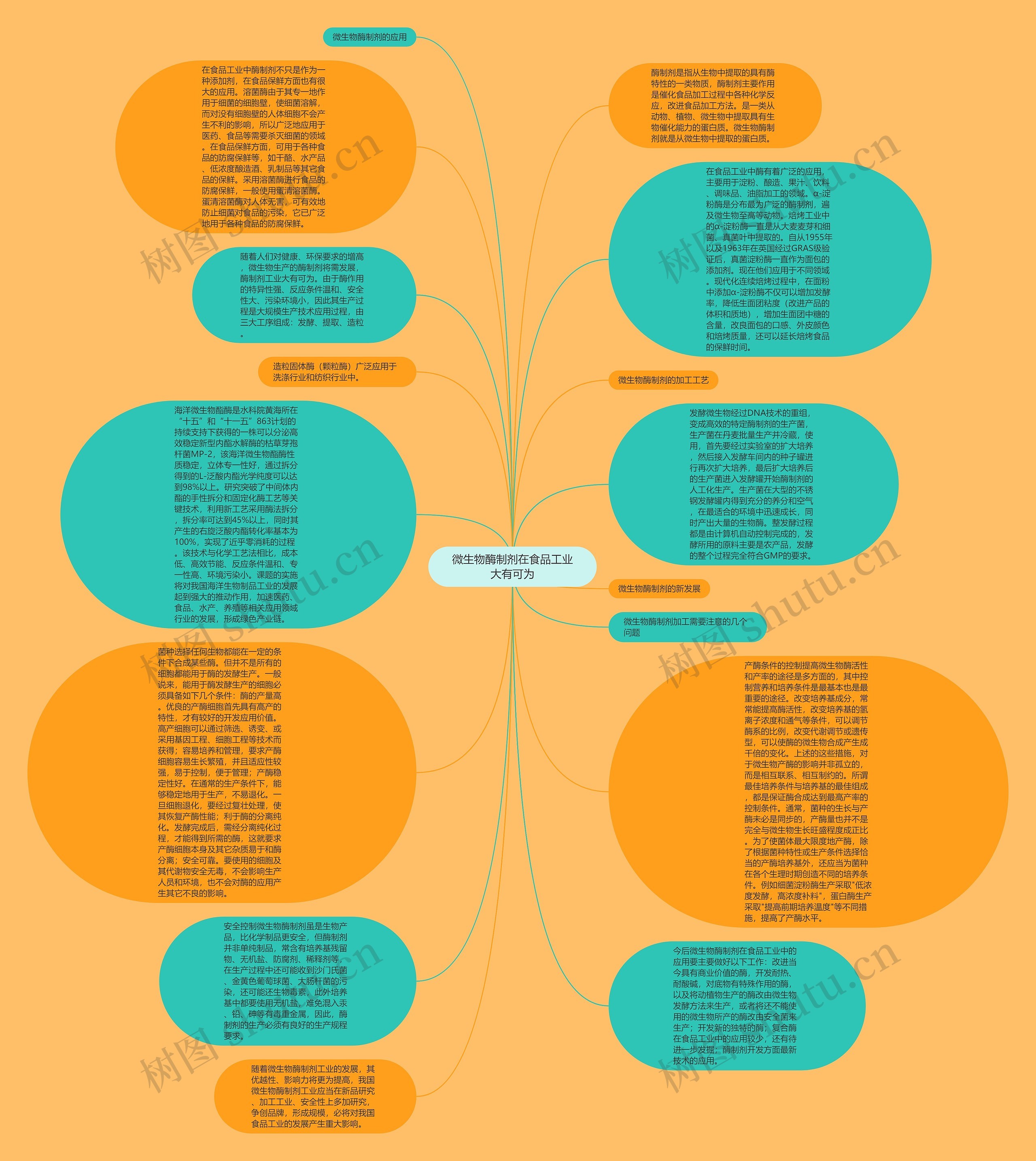 微生物酶制剂在食品工业大有可为思维导图