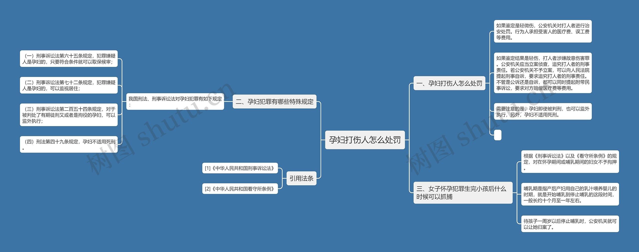 孕妇打伤人怎么处罚思维导图