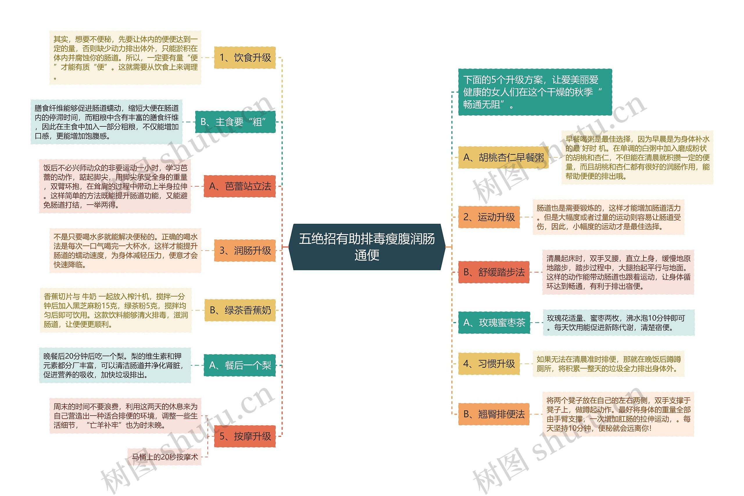 五绝招有助排毒瘦腹润肠通便