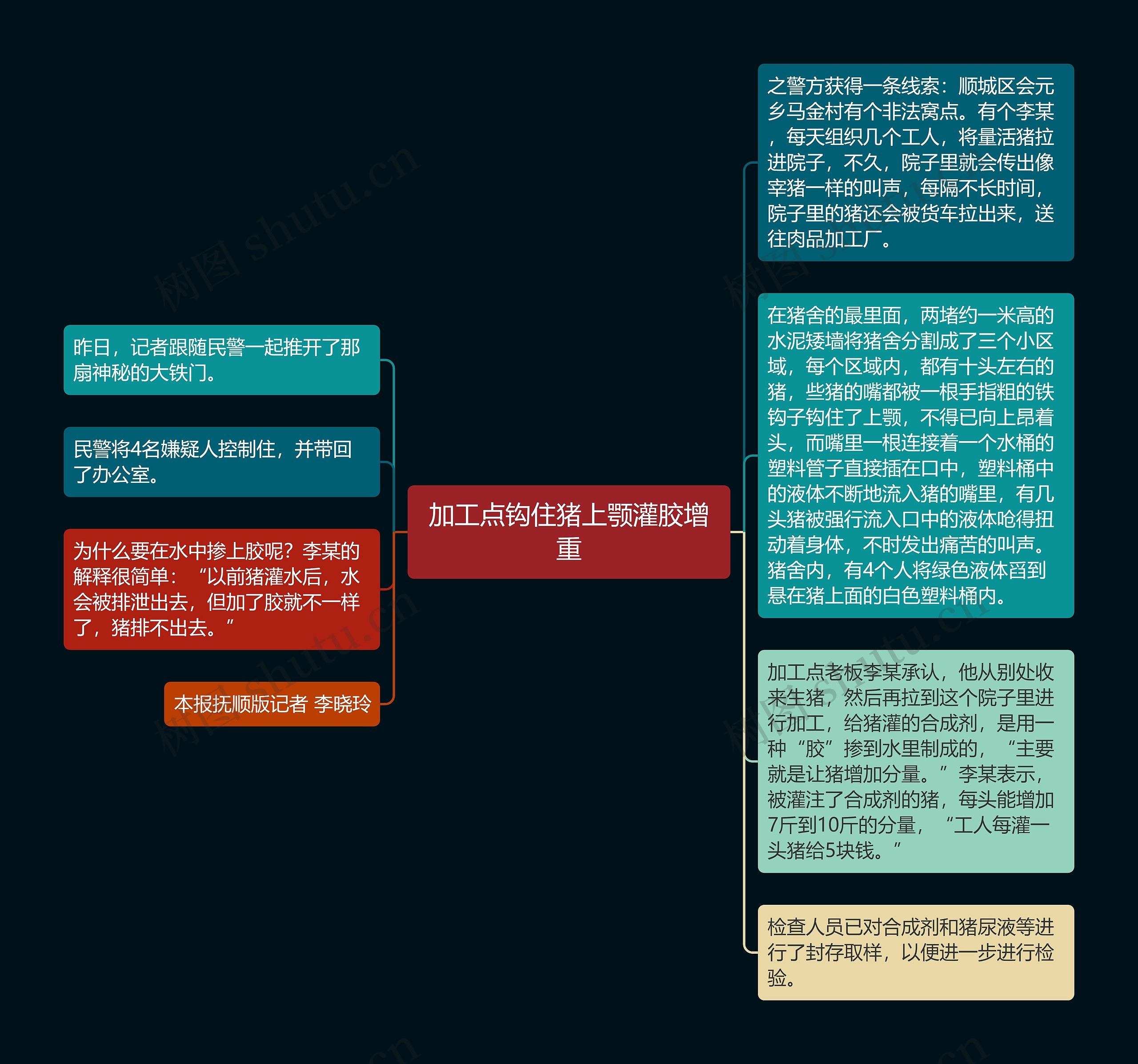 加工点钩住猪上颚灌胶增重