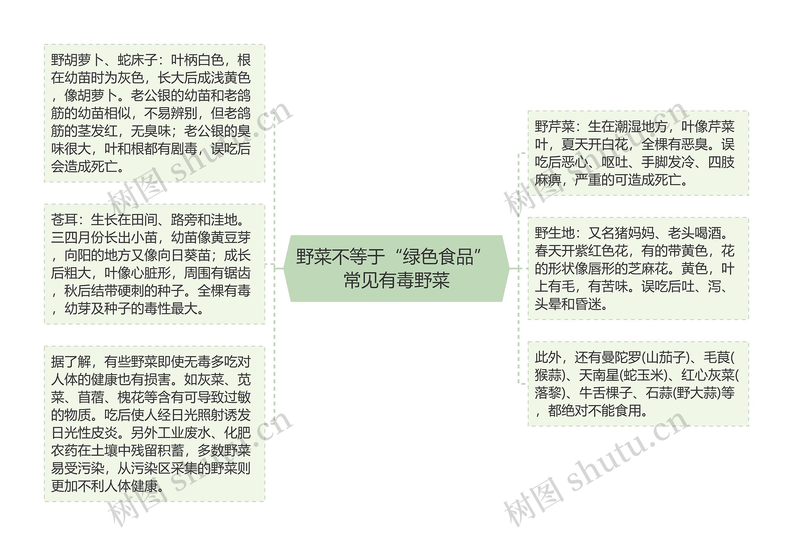 野菜不等于“绿色食品” 常见有毒野菜思维导图