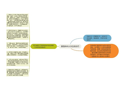 遭遇森林火灾自救技巧