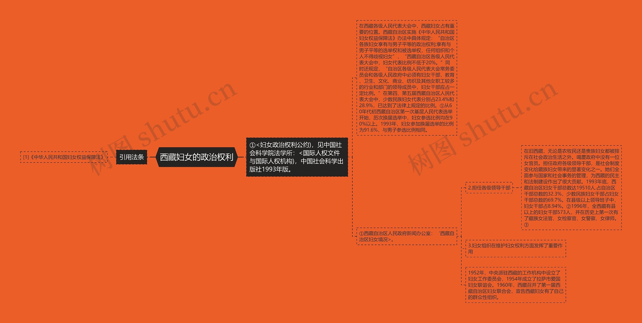 西藏妇女的政治权利 西藏妇女的政治权利