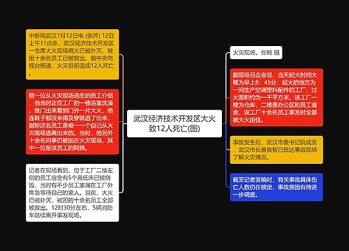 武汉经济技术开发区大火致12人死亡(图)