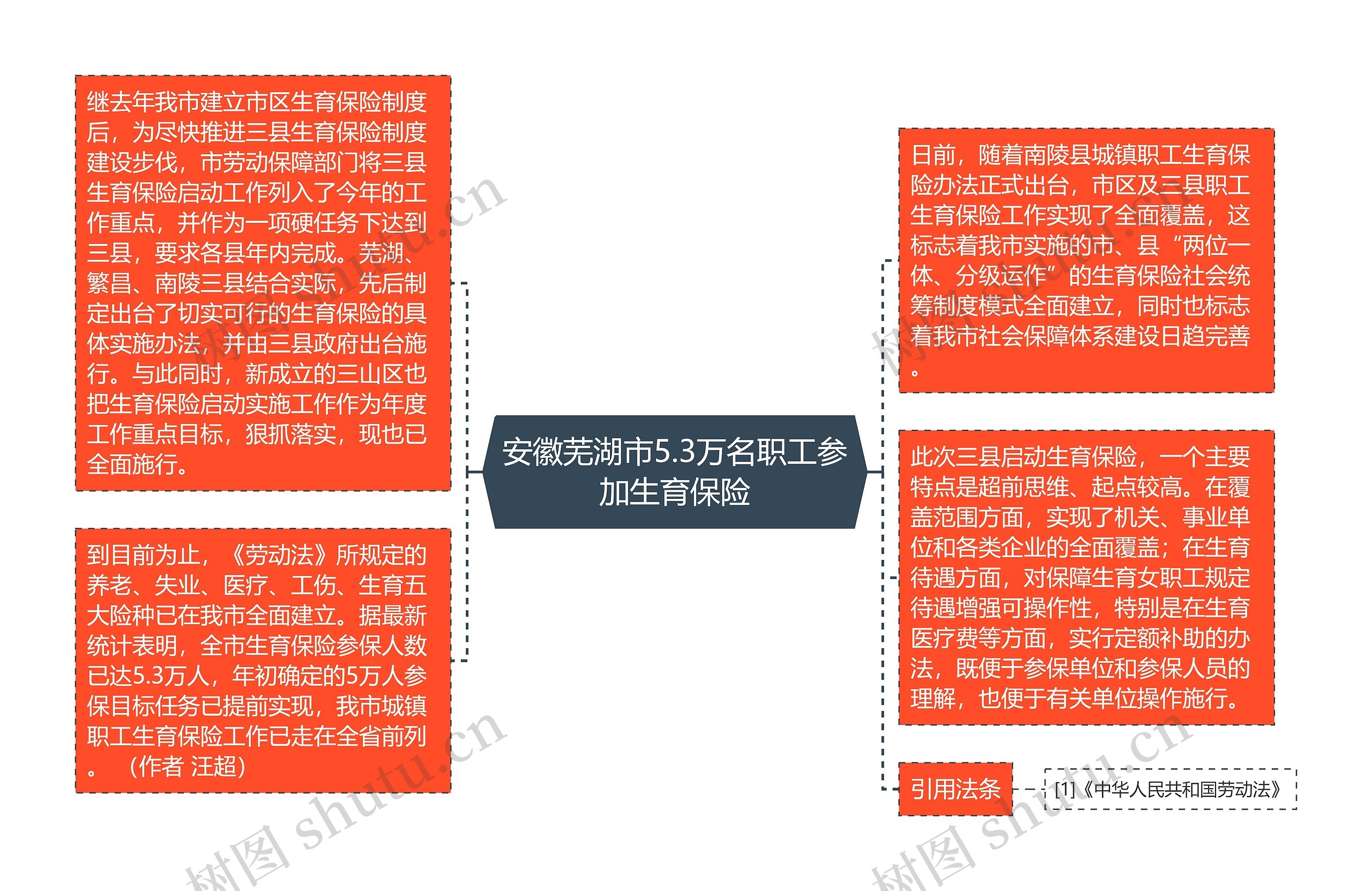 安徽芜湖市5.3万名职工参加生育保险思维导图