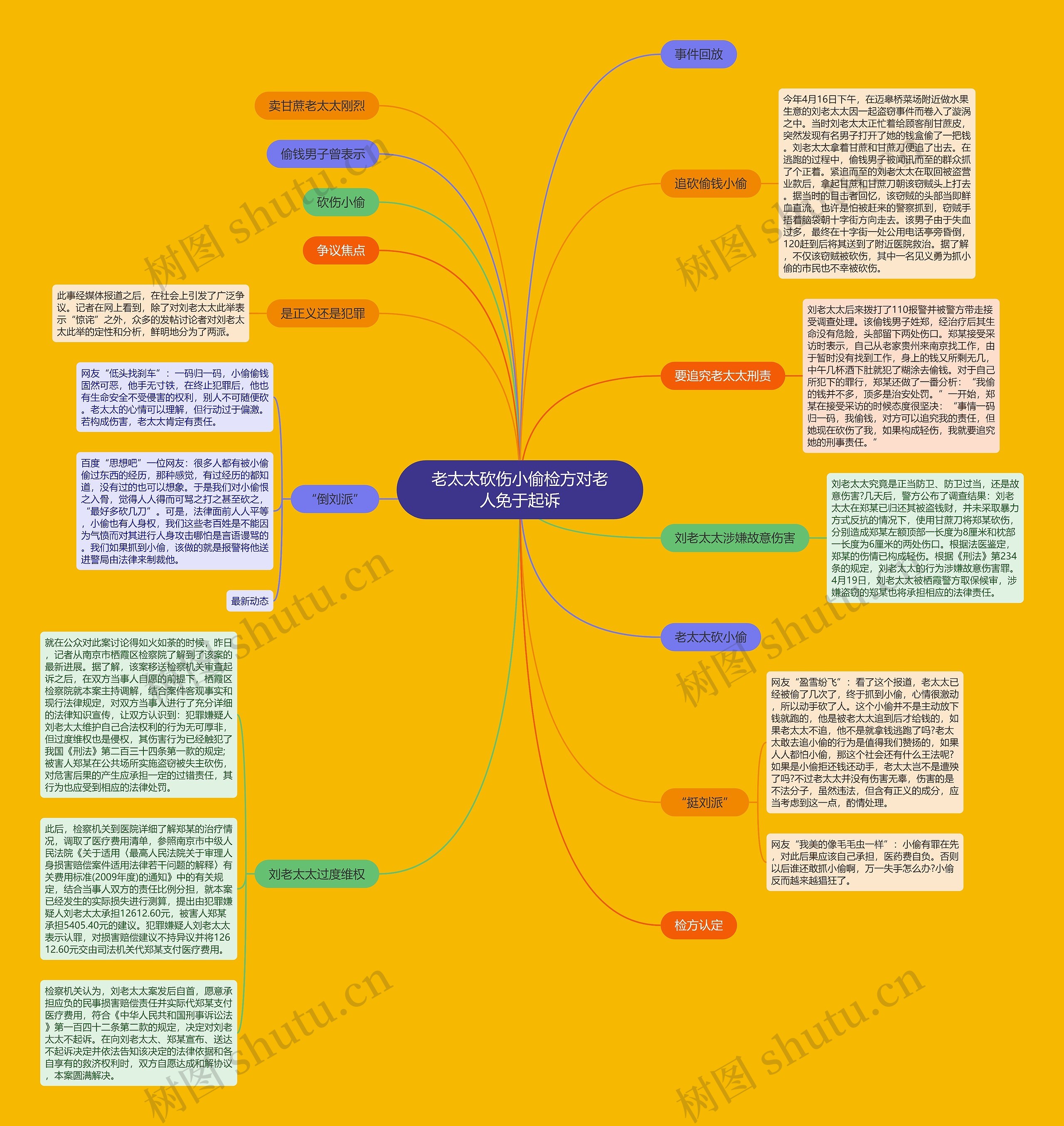 老太太砍伤小偷检方对老人免于起诉思维导图