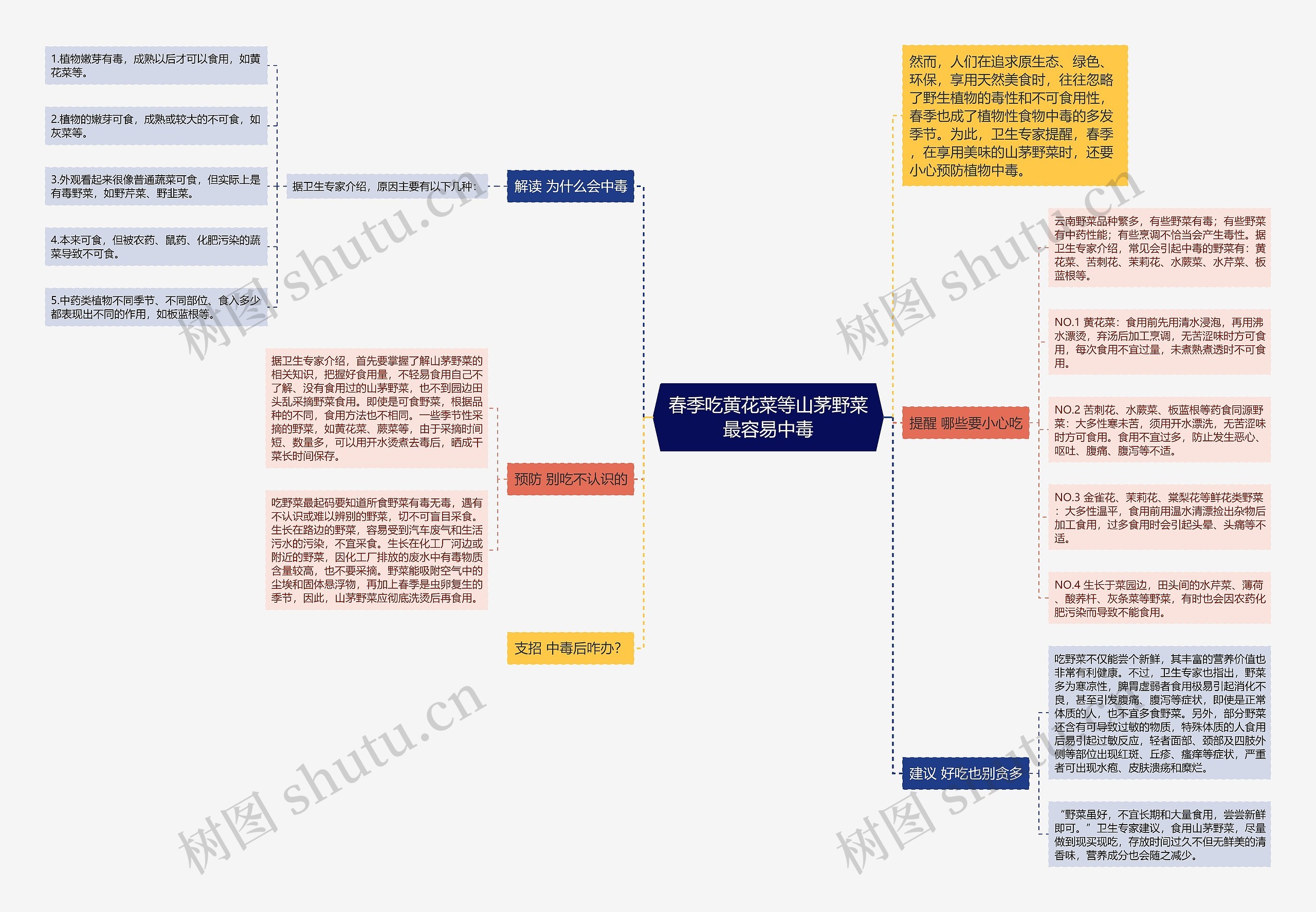 春季吃黄花菜等山茅野菜最容易中毒思维导图