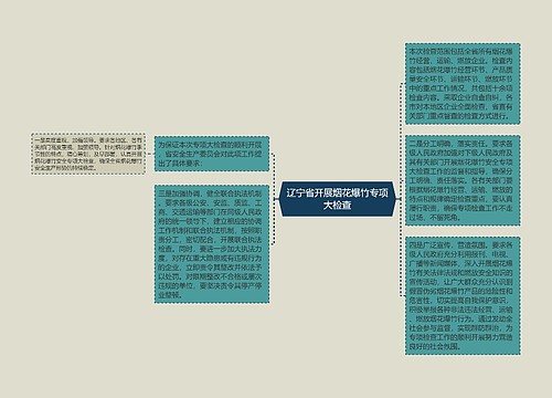 辽宁省开展烟花爆竹专项大检查