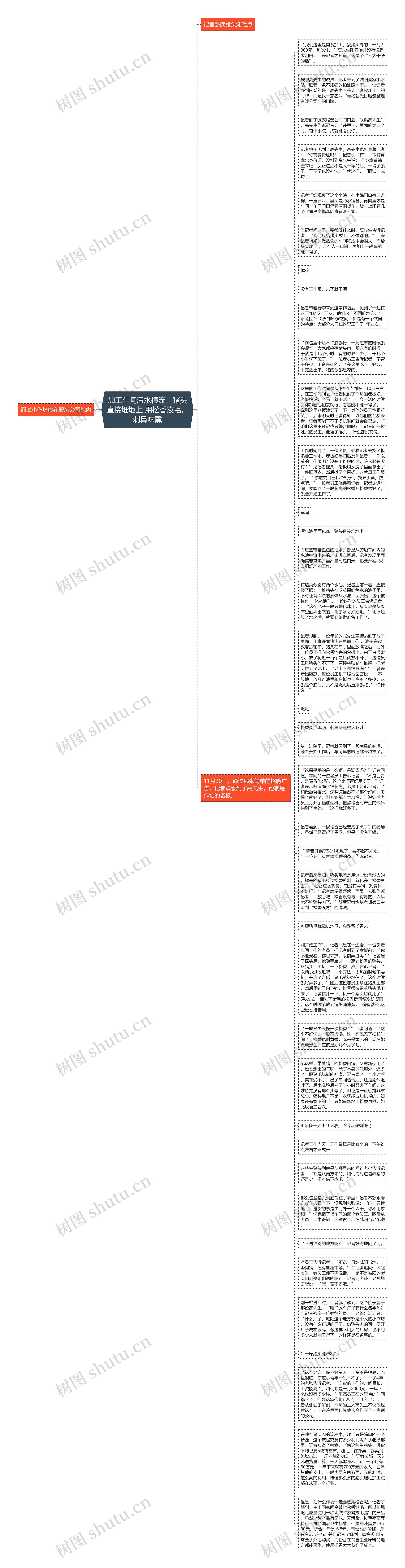 加工车间污水横流，猪头直接堆地上 用松香拔毛，刺鼻味熏思维导图