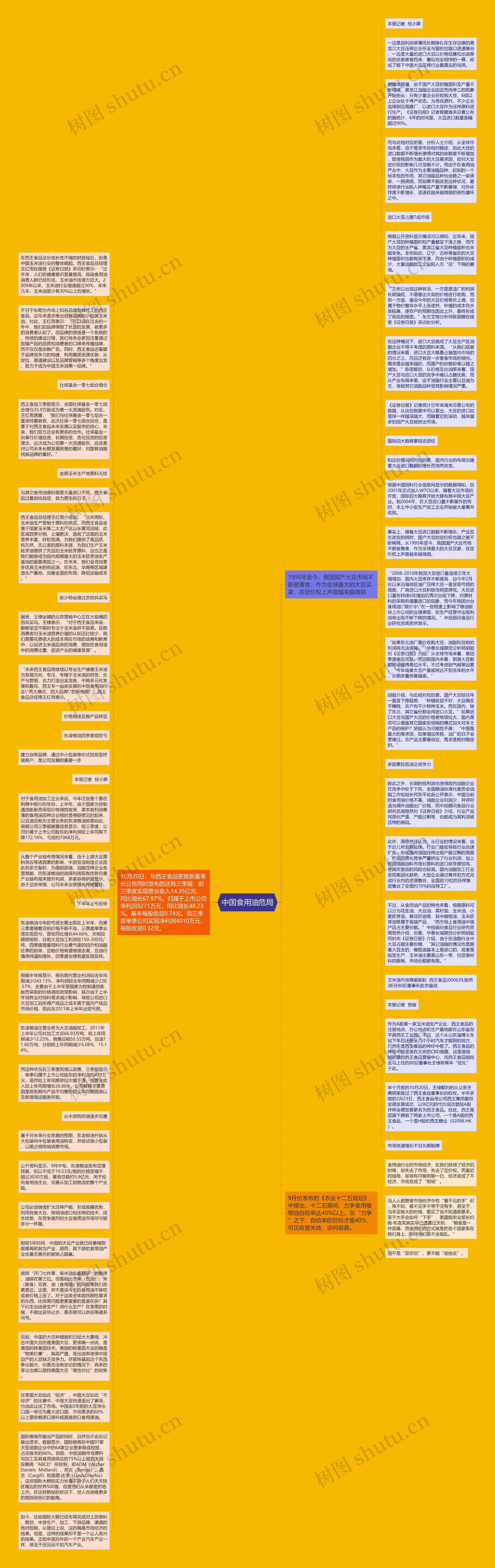 中国食用油危局思维导图