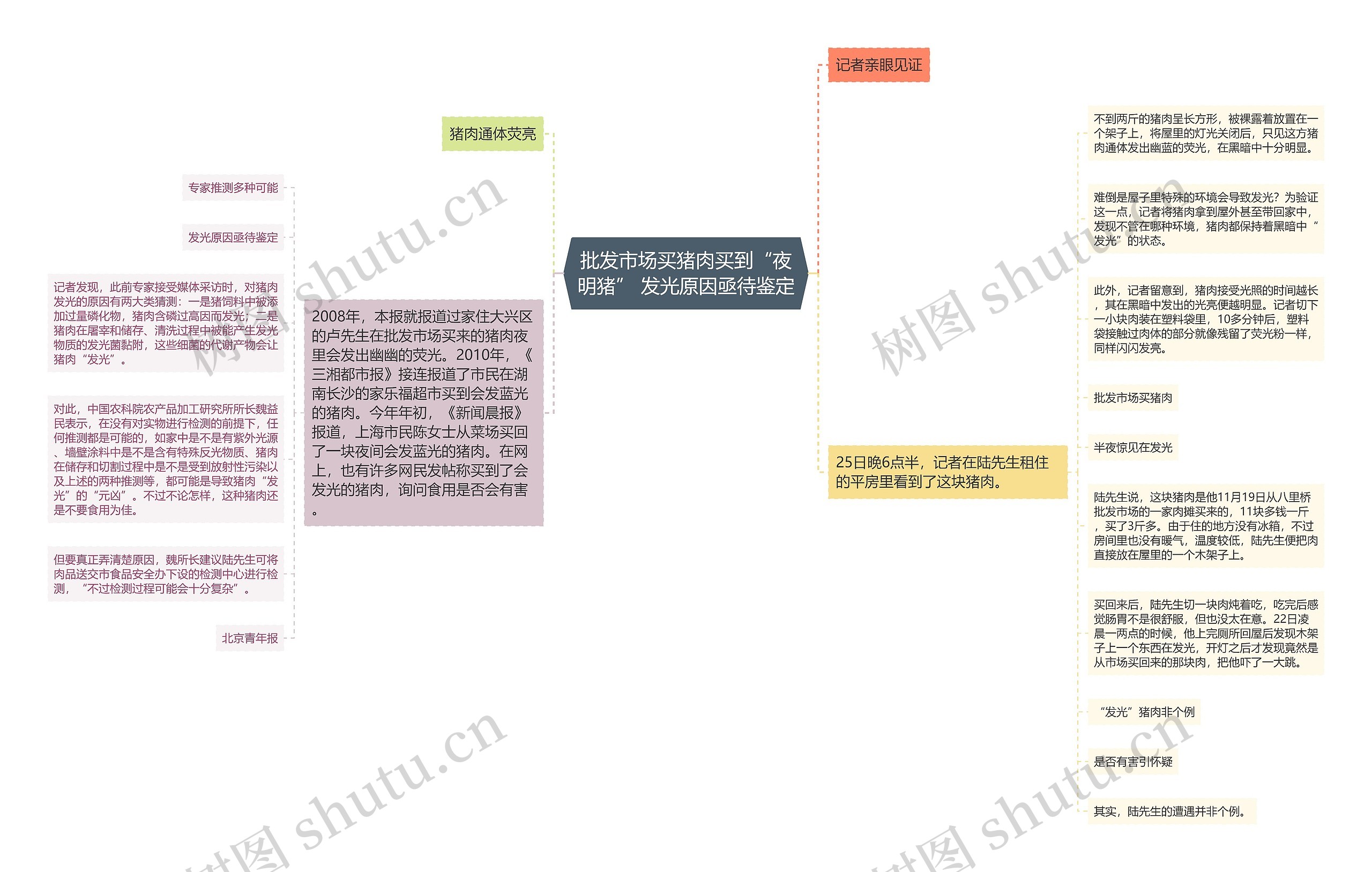 批发市场买猪肉买到“夜明猪” 发光原因亟待鉴定思维导图