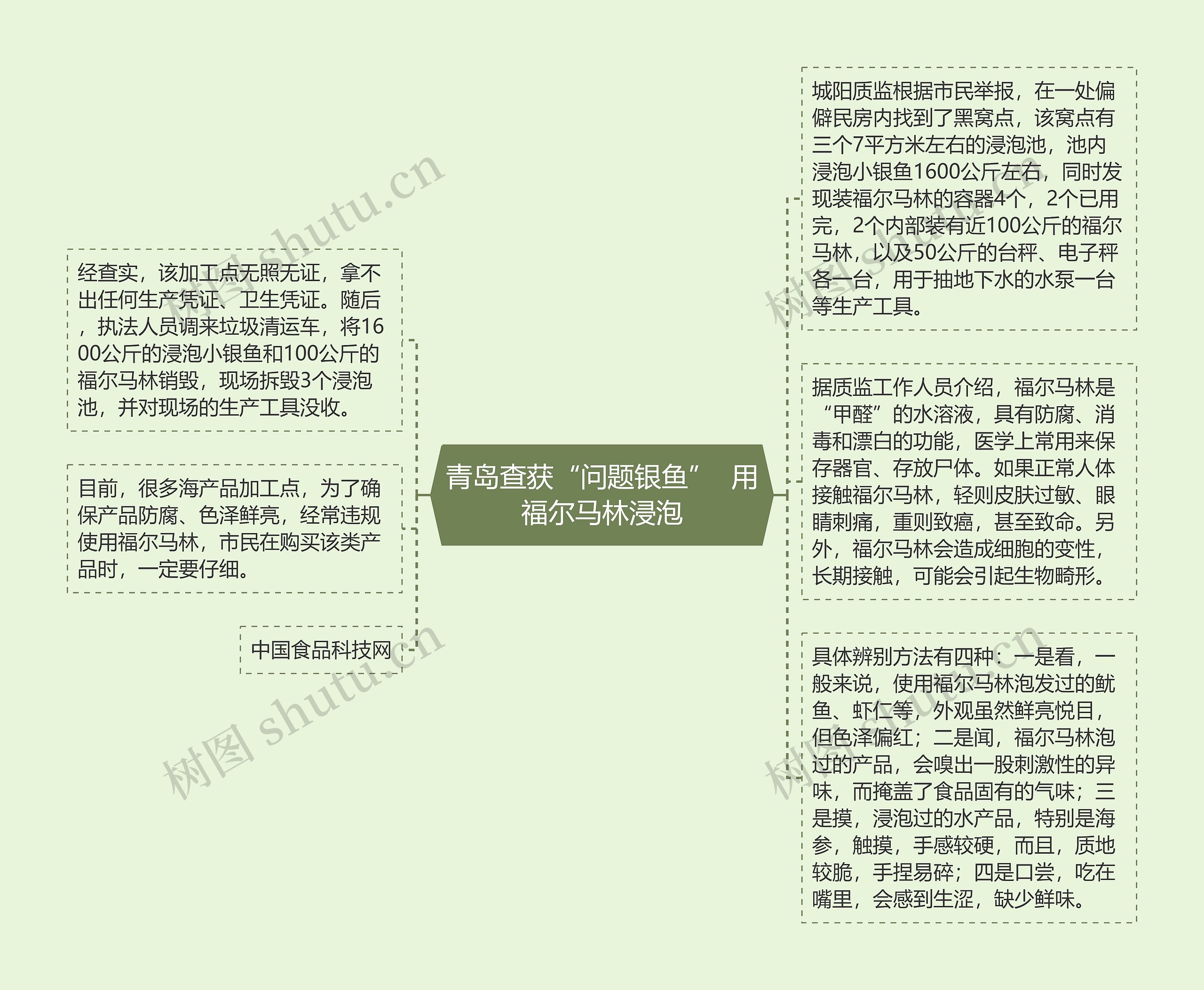 青岛查获“问题银鱼”  用福尔马林浸泡思维导图