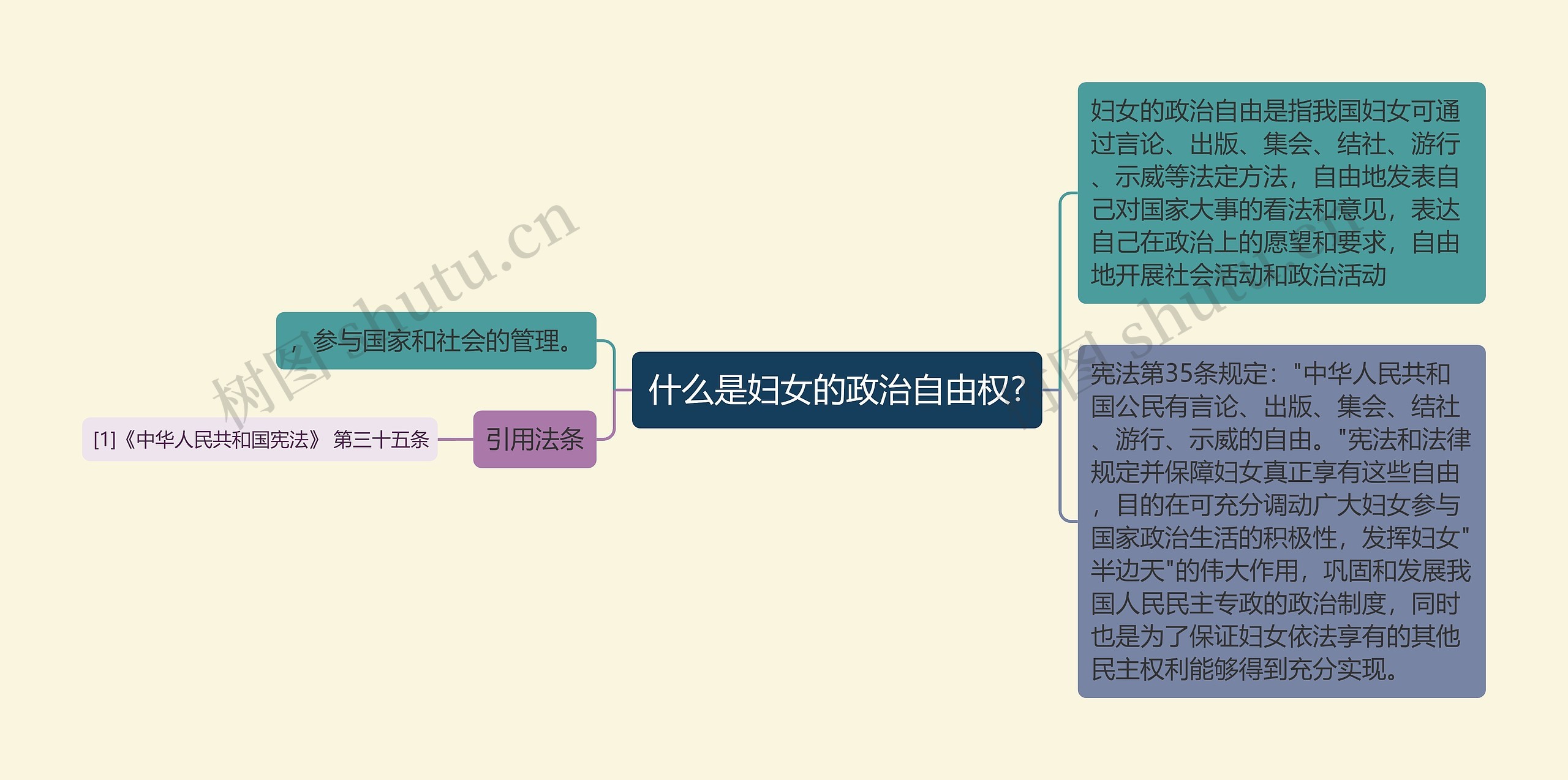 什么是妇女的政治自由权?思维导图