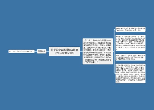 男子欲带金属质地仿真枪上火车被治安拘留