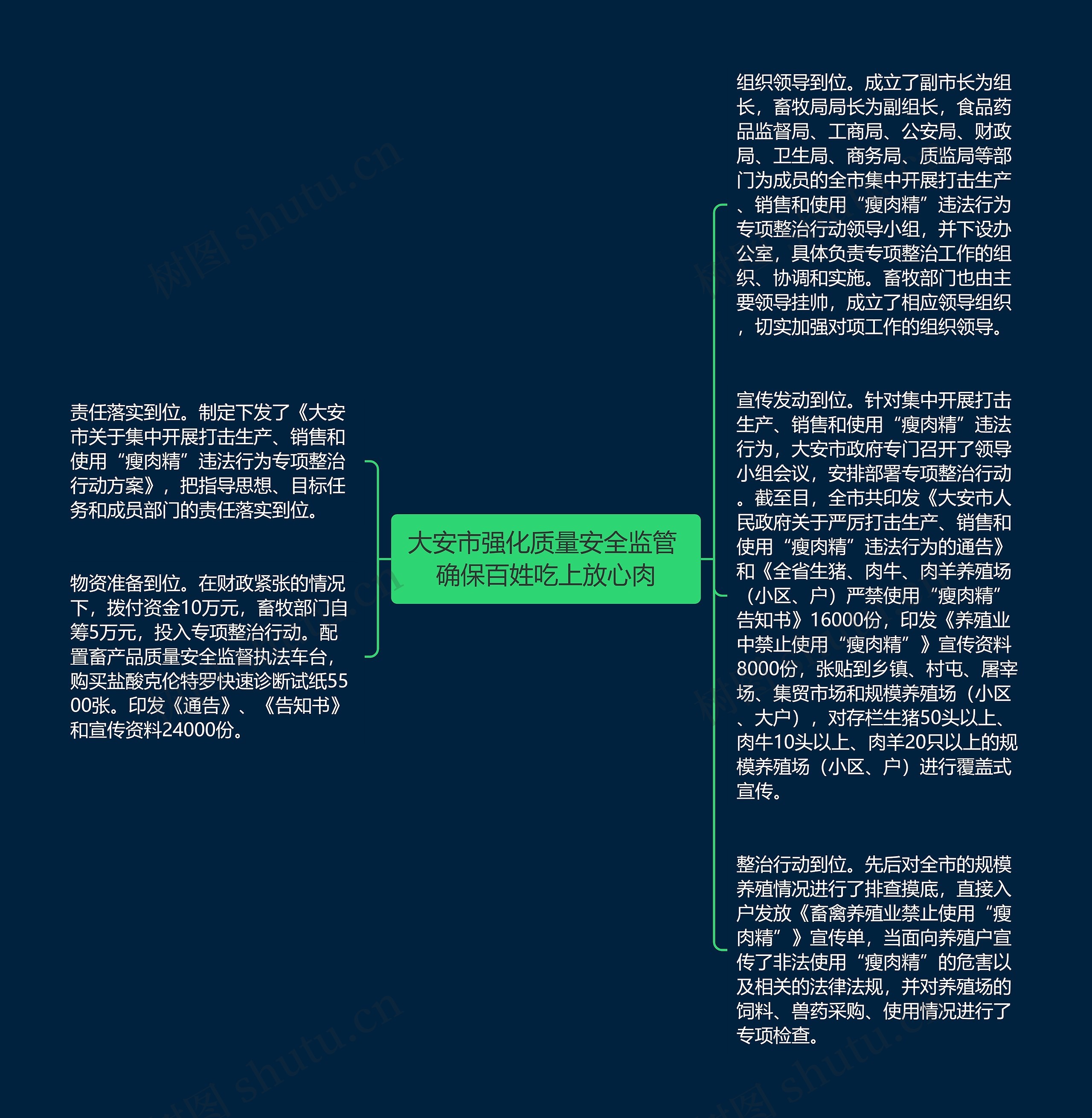 大安市强化质量安全监管 确保百姓吃上放心肉思维导图