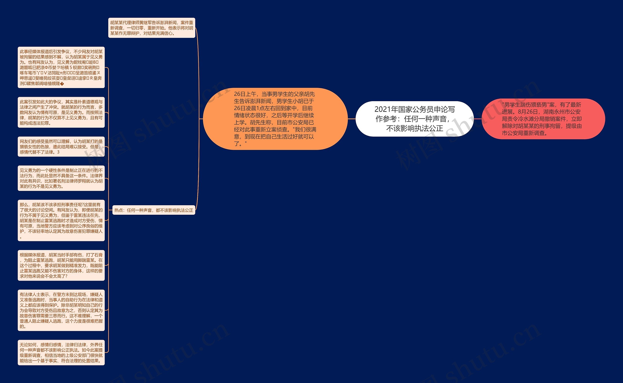 2021年国家公务员申论写作参考：任何一种声音，不该影响执法公正思维导图